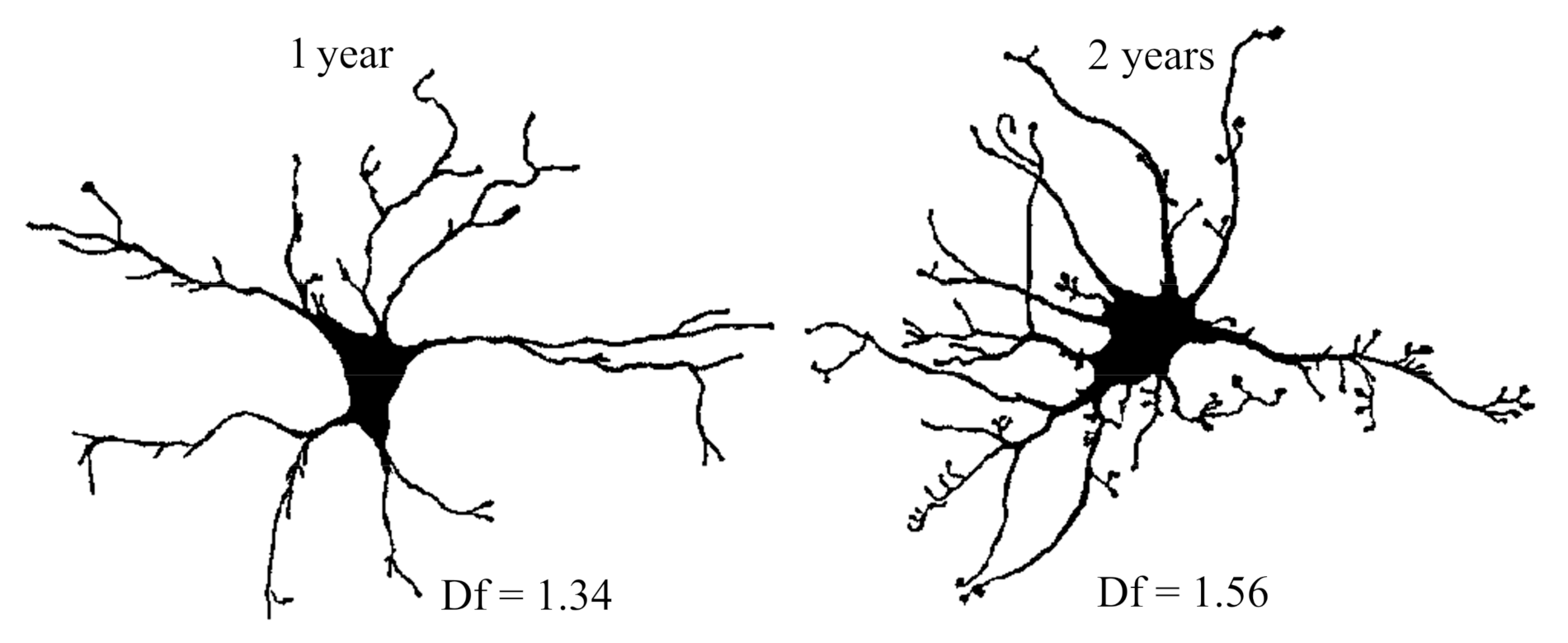 Symmetry 13 00160 g004 Symmetry 13 00160 g004