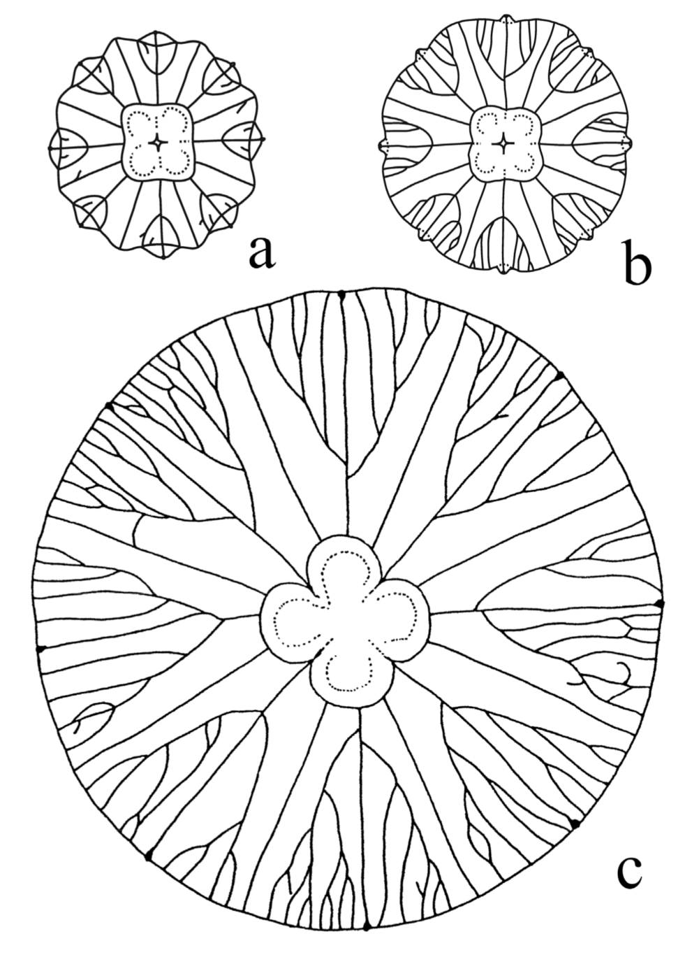 Symmetry 13 00160 g005 Symmetry 13 00160 g005
