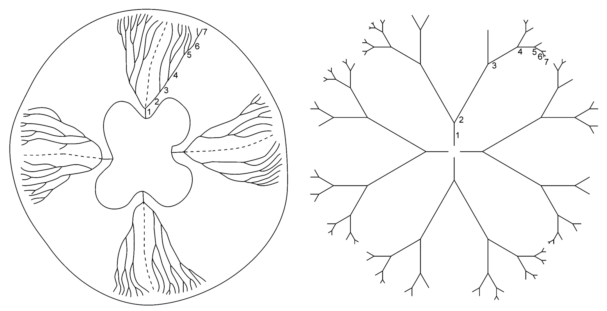 Symmetry 13 00160 g006 Symmetry 13 00160 g006