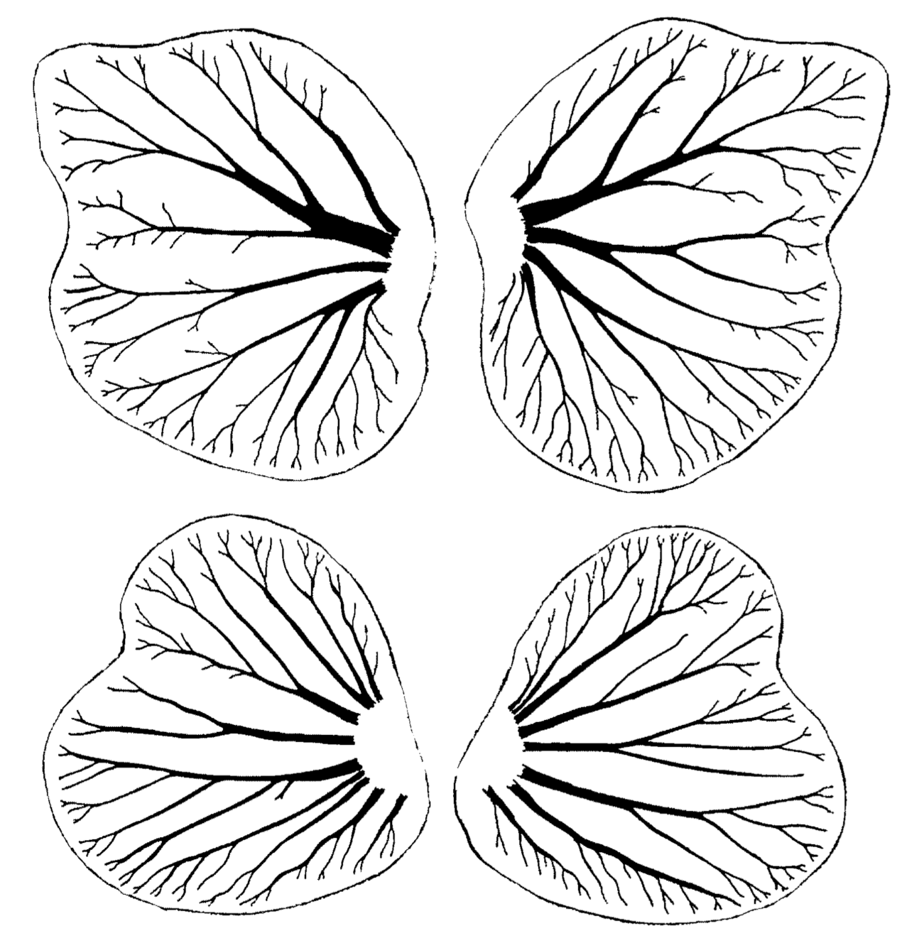 Symmetry 13 00160 g007 Symmetry 13 00160 g007