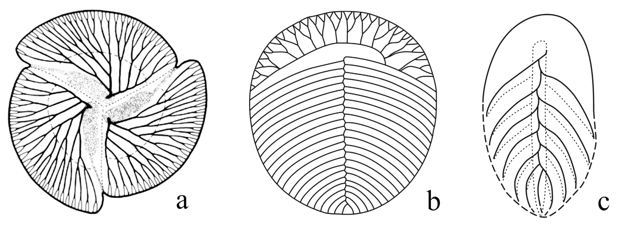 Symmetry 13 00160 g008 Symmetry 13 00160 g008