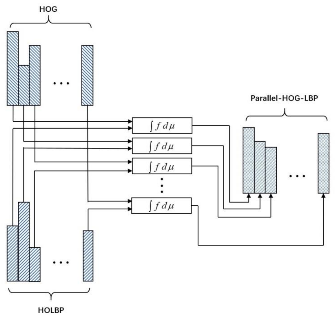 Symmetry 13 00250 g006