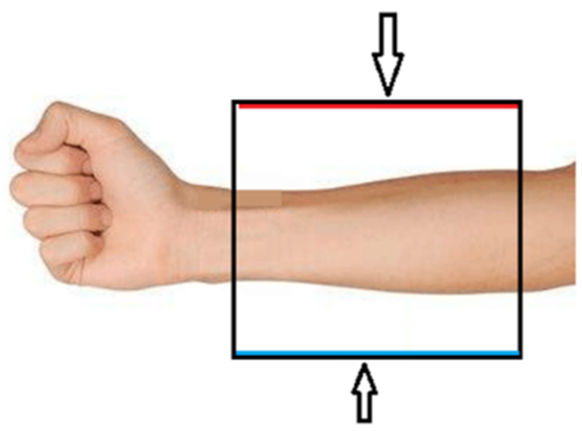 Symmetry 13 00260 g008 Symmetry 13 00260 g008
