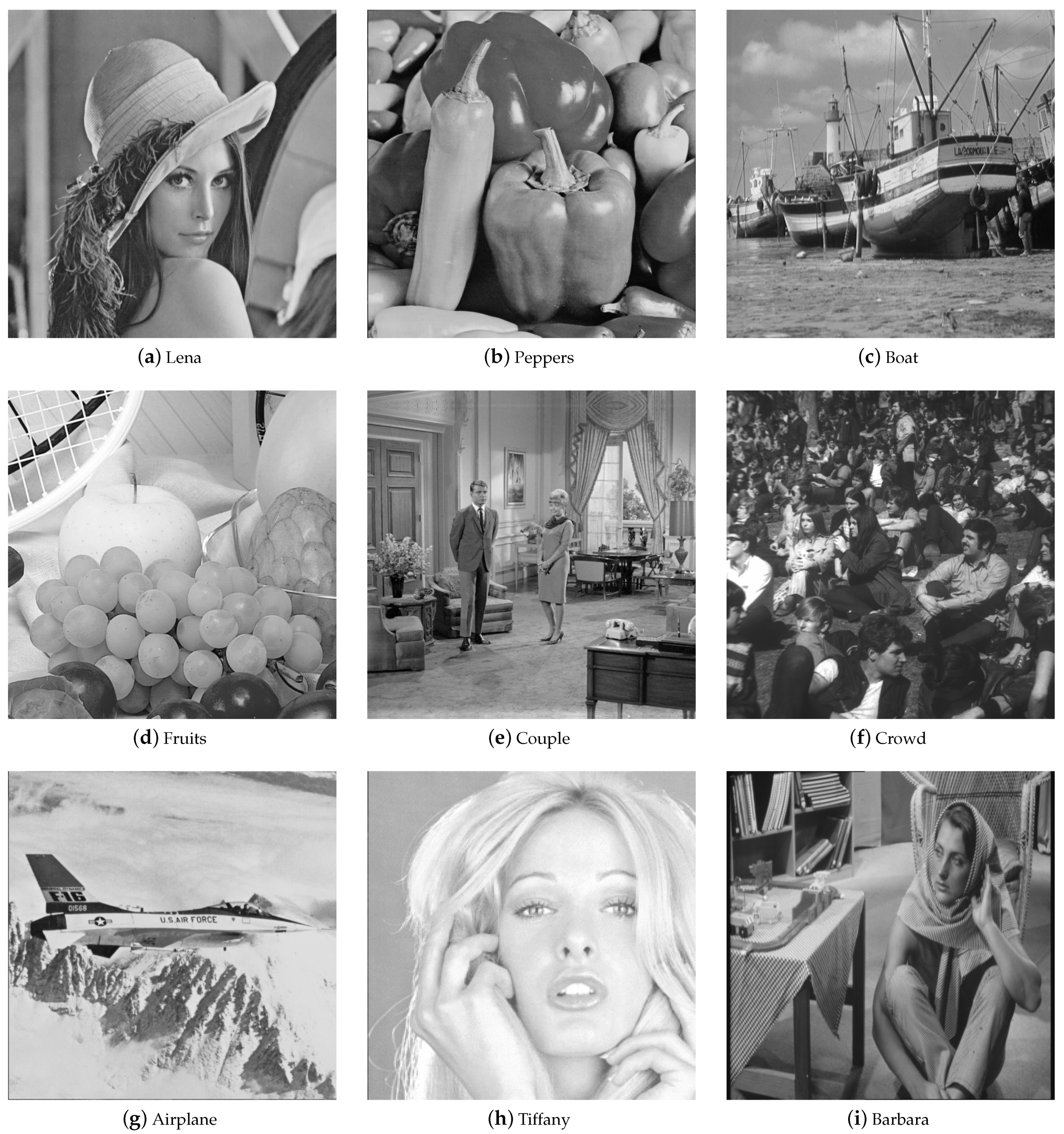 Symmetry 13 00286 g008