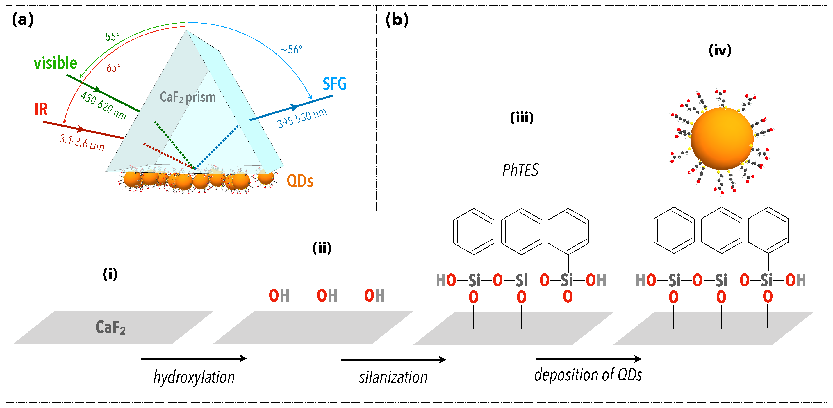 Symmetry 13 00294 g001