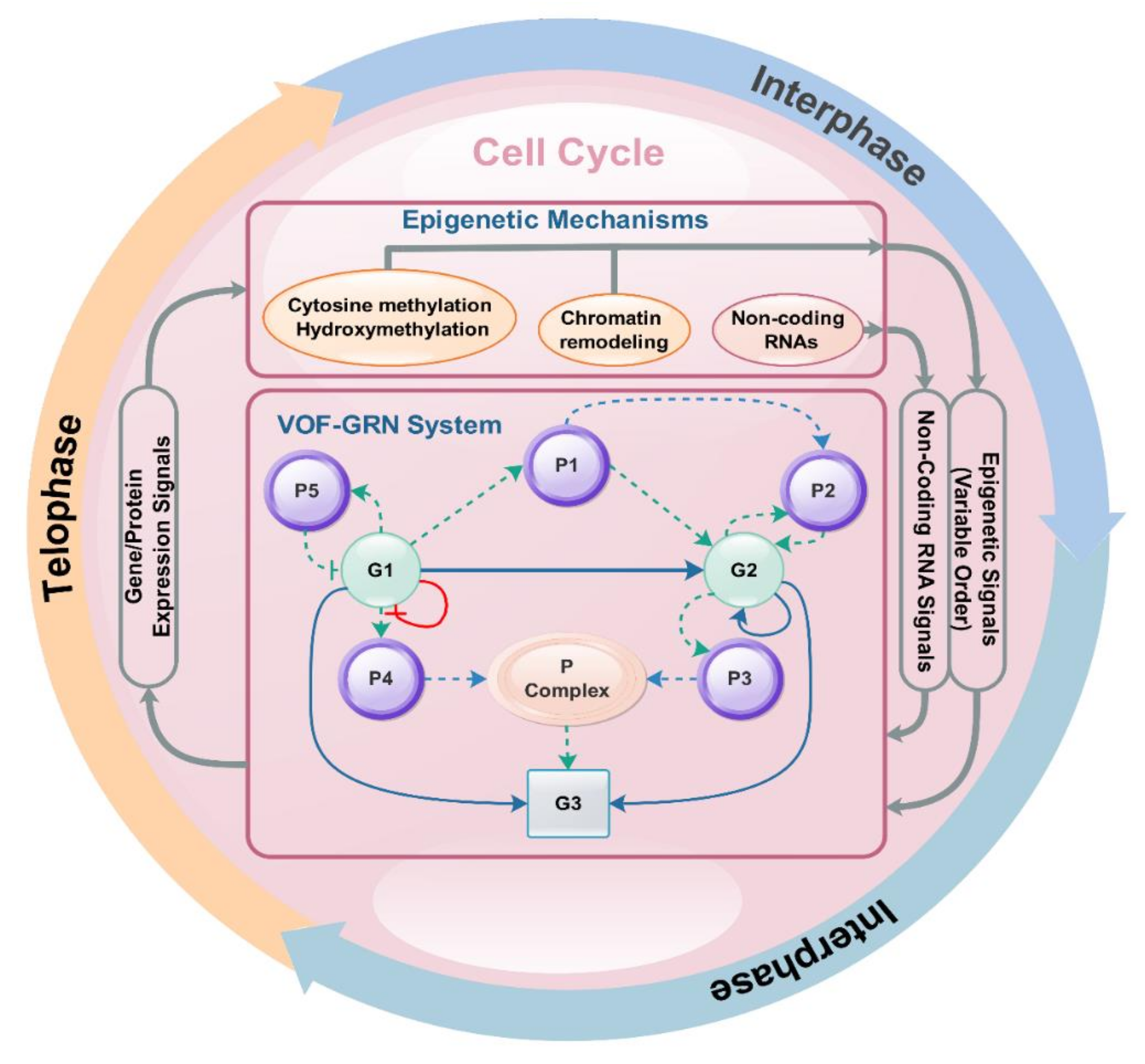 Symmetry 13 00295 g001