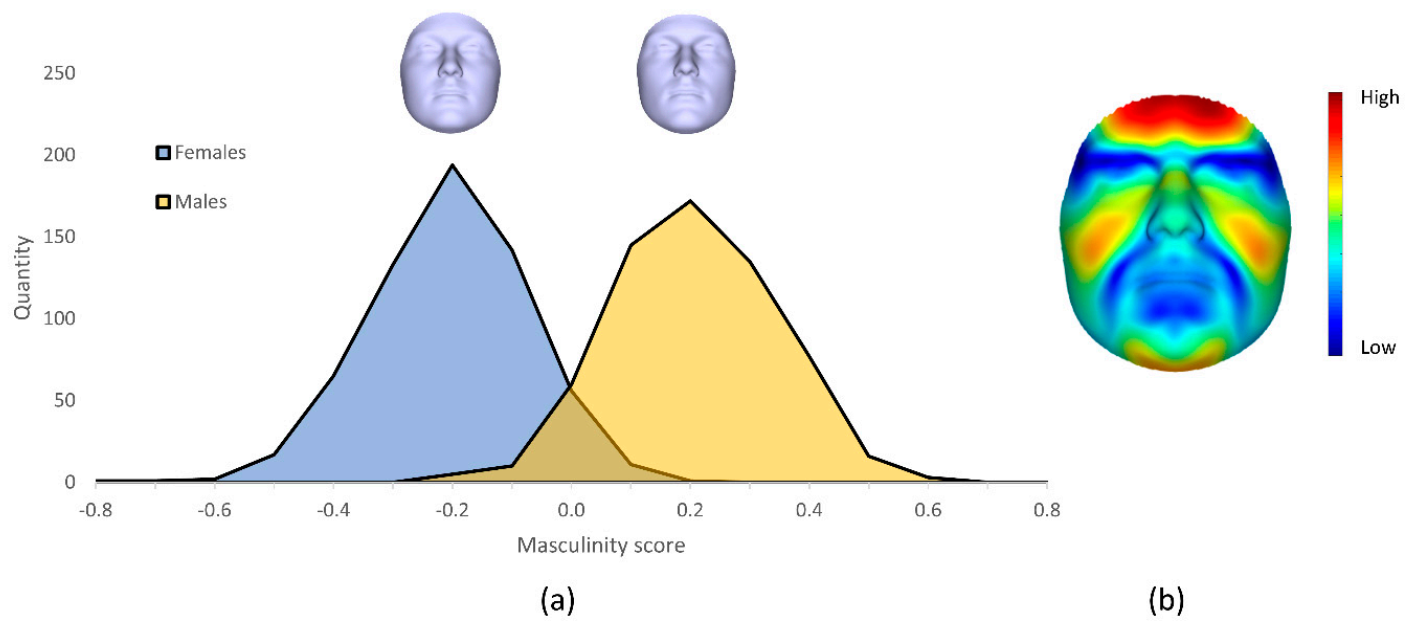 Symmetry 13 00304 g001