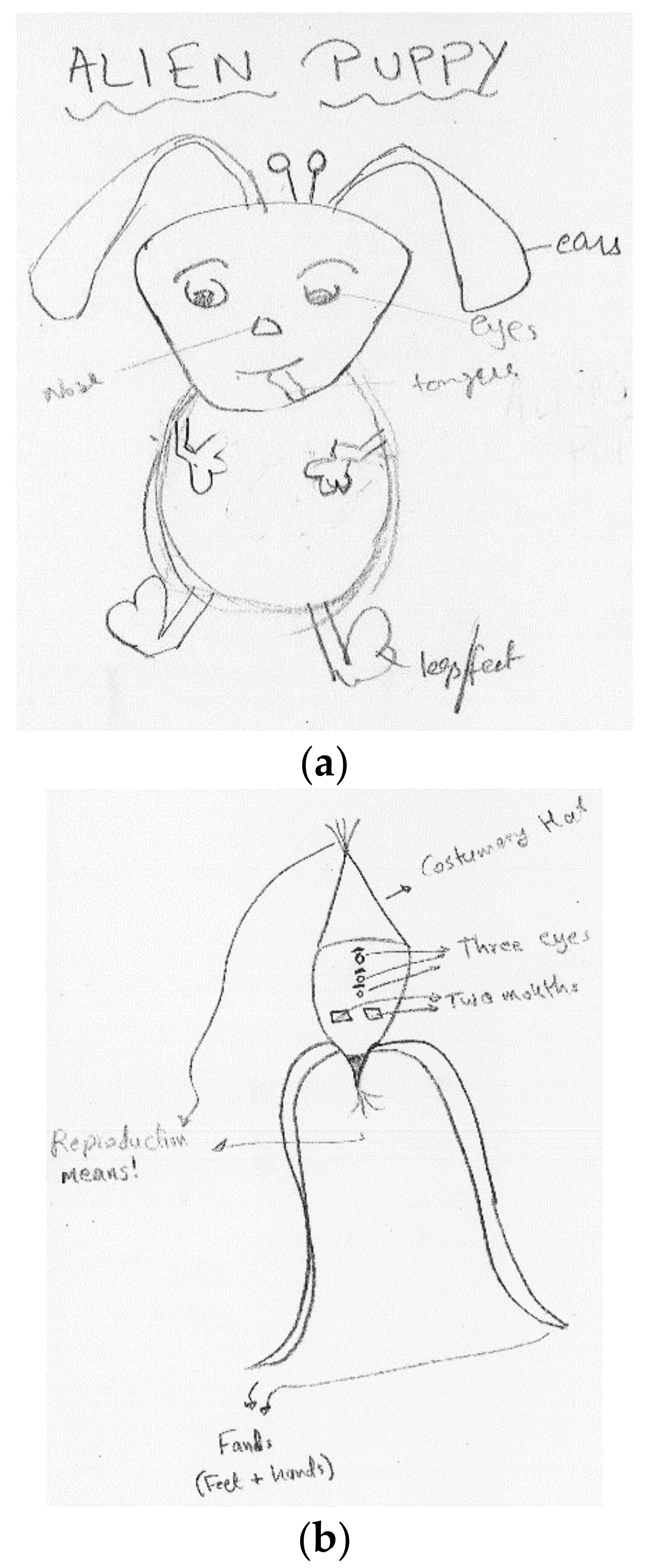Symmetry 13 00343 g001 Symmetry 13 00343 g001