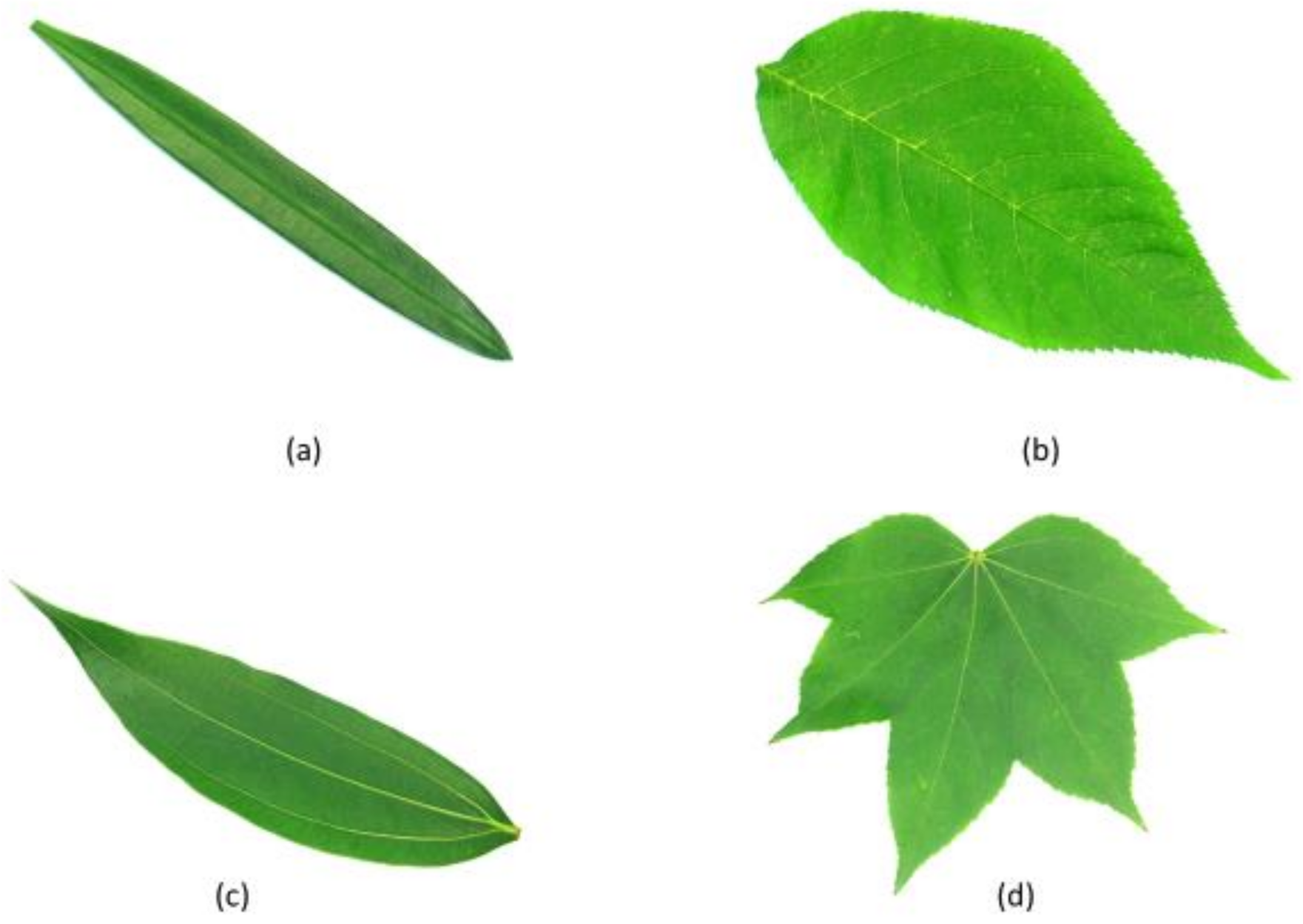 Symmetry 13 00356 g004 Symmetry 13 00356 g004