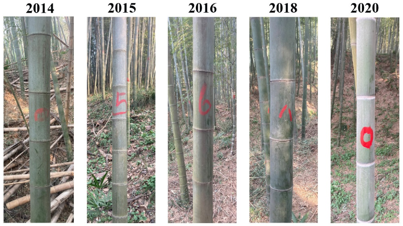 Symmetry 13 00369 g001