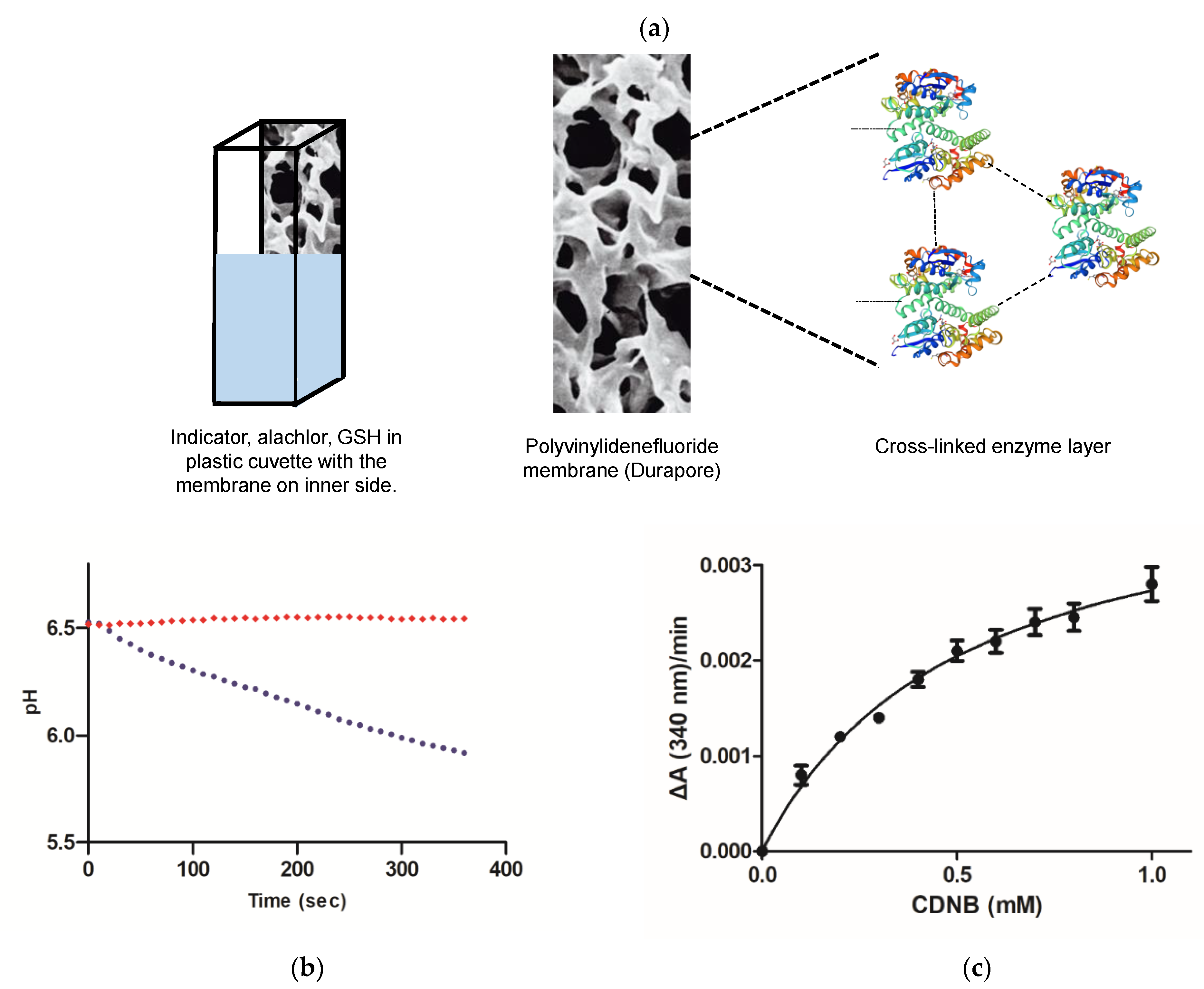 Symmetry 13 00461 g005