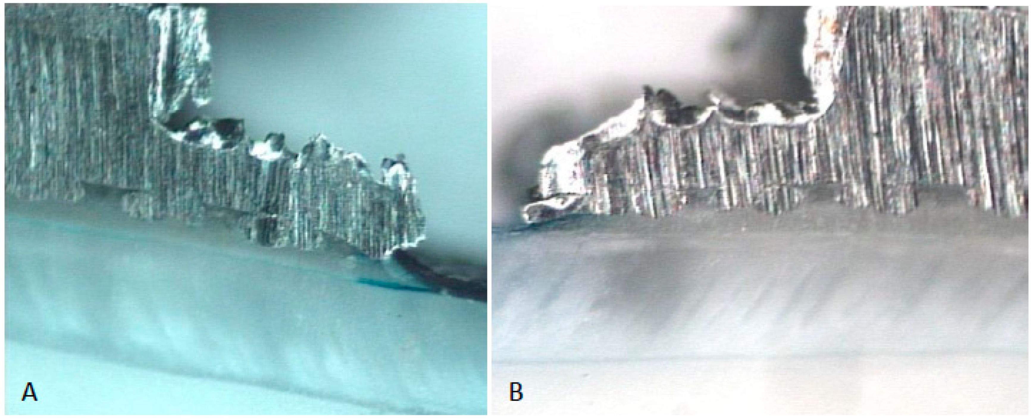 Symmetry 13 00494 g001