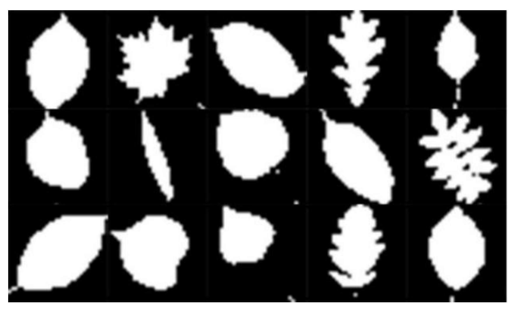 Symmetry 13 00499 g012