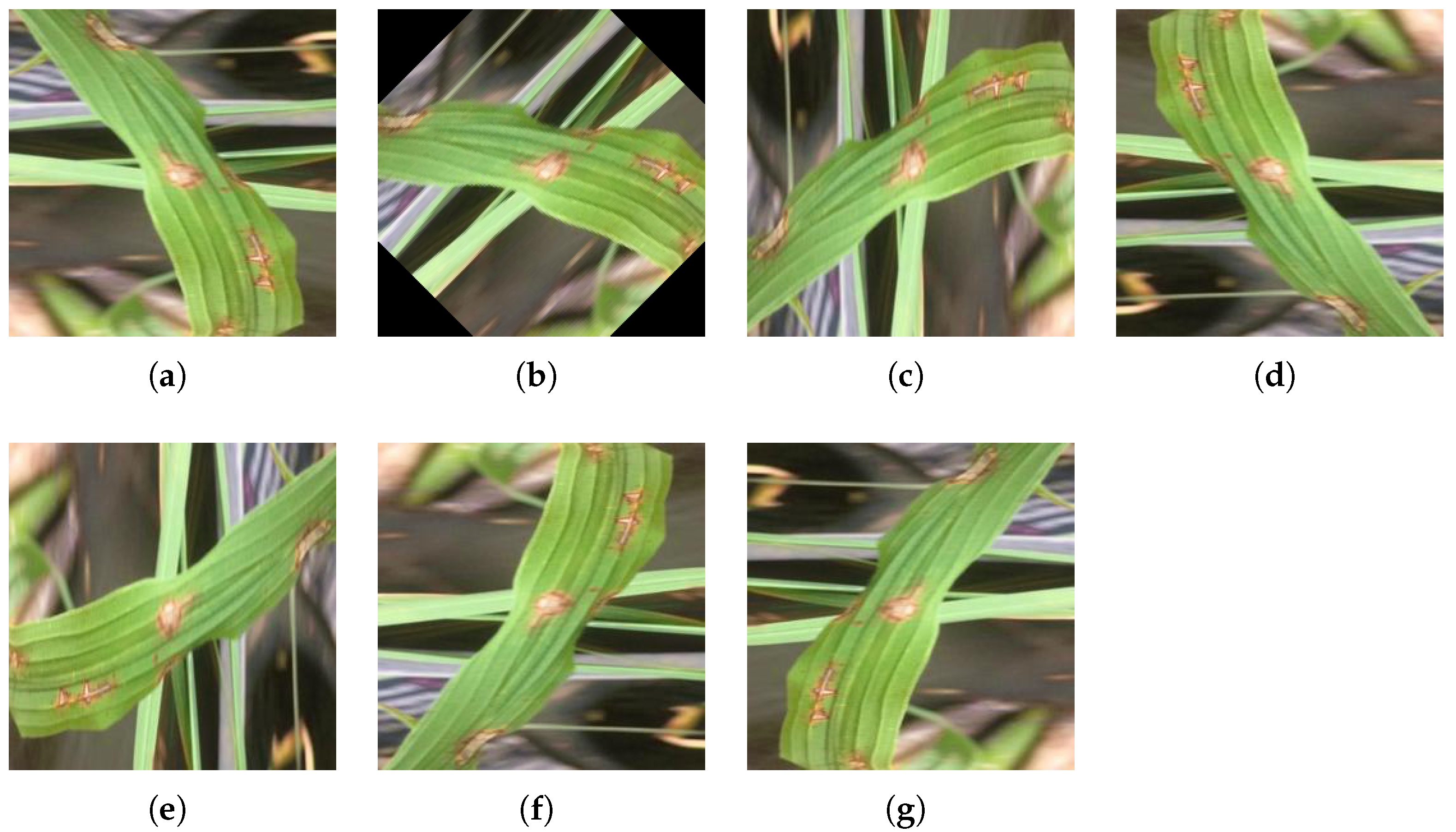 Symmetry 13 00511 g003