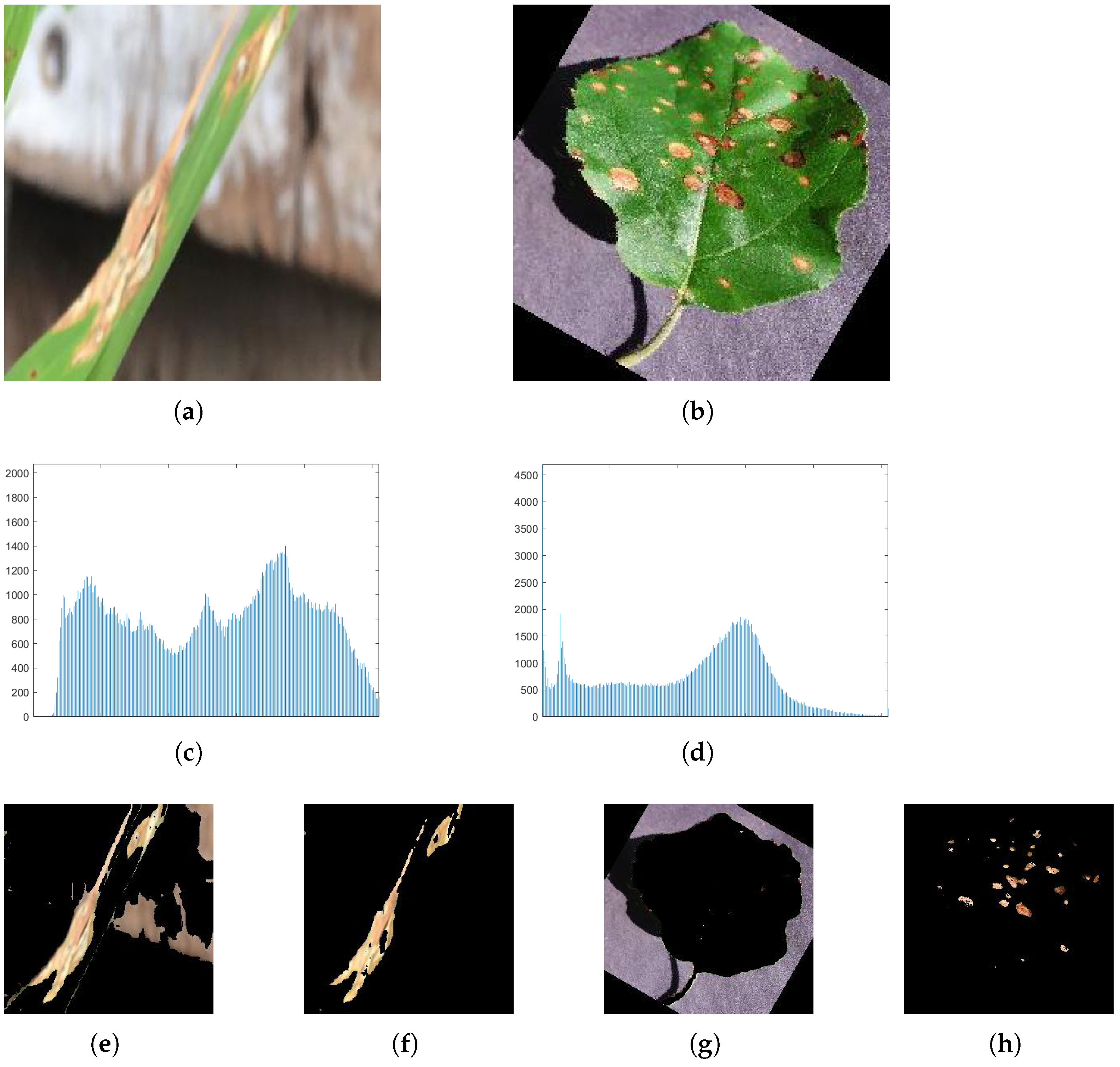 Symmetry 13 00511 g005