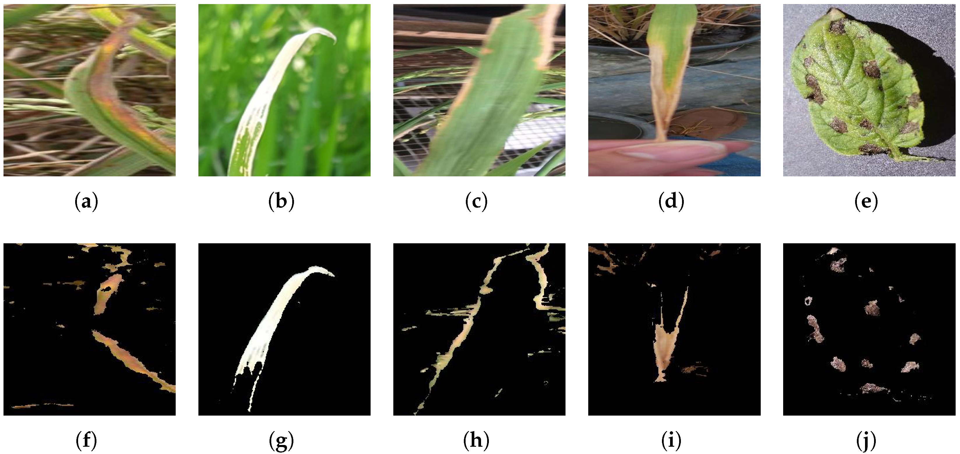 Symmetry 13 00511 g006