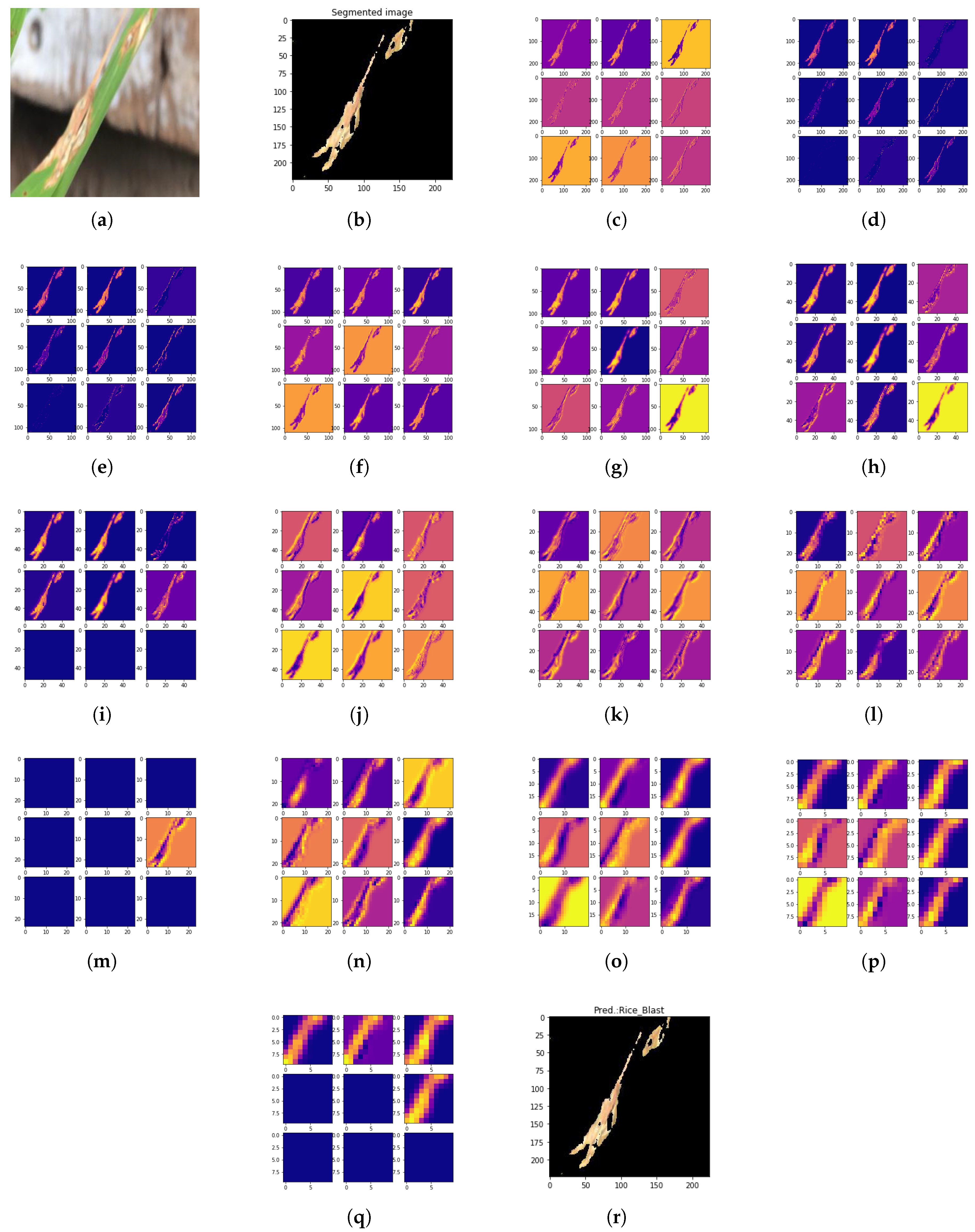 Symmetry 13 00511 g013