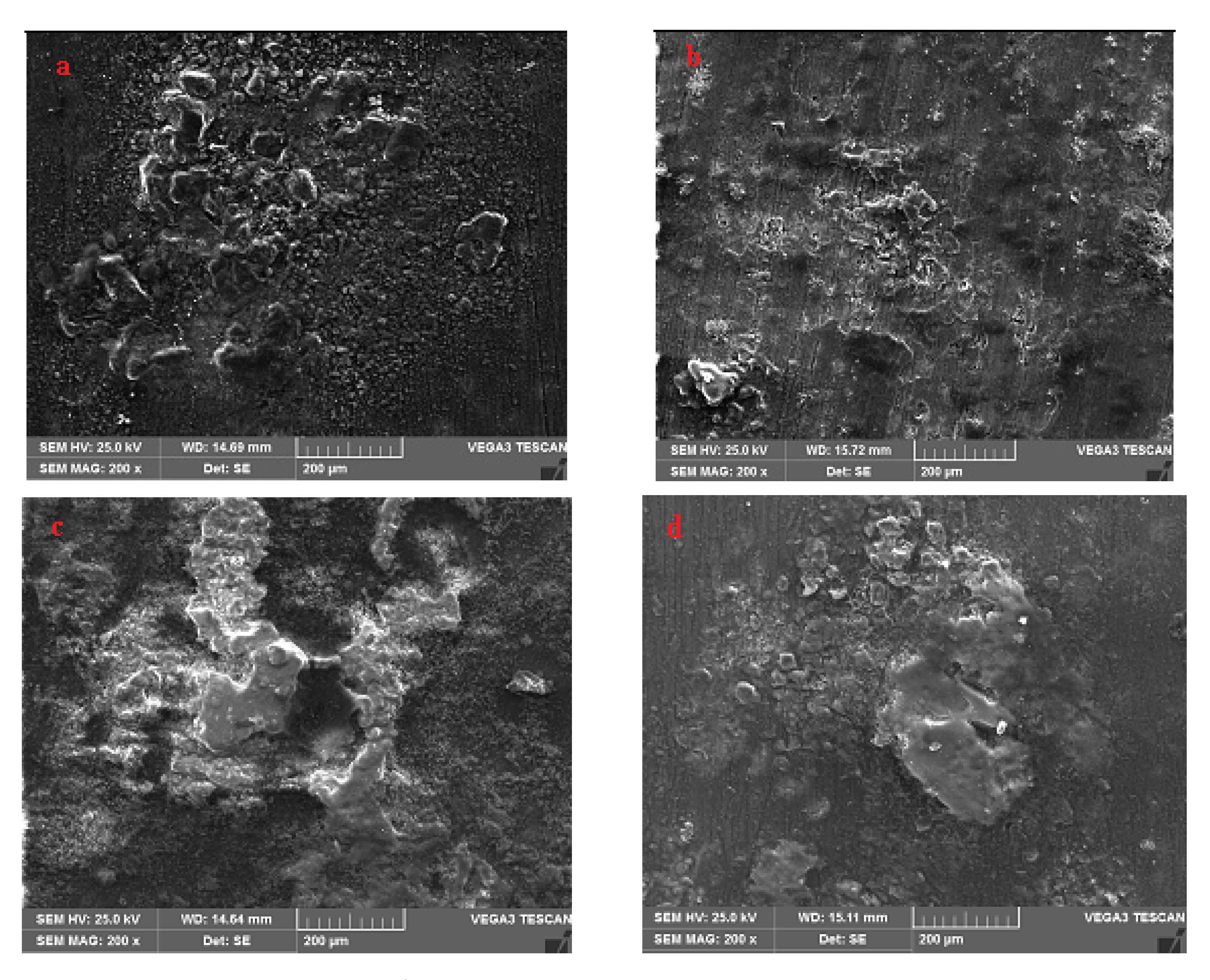 Symmetry 13 00537 g010