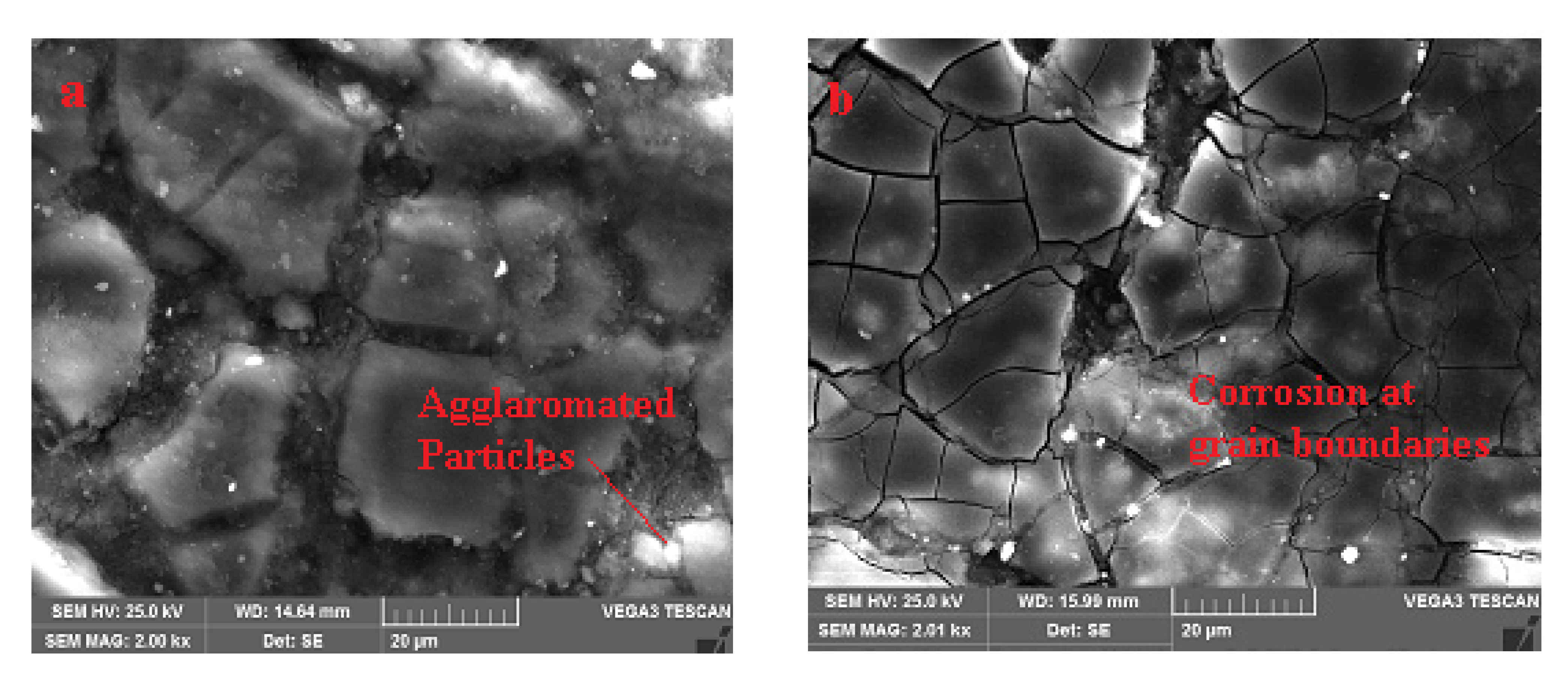 Symmetry 13 00537 g011a