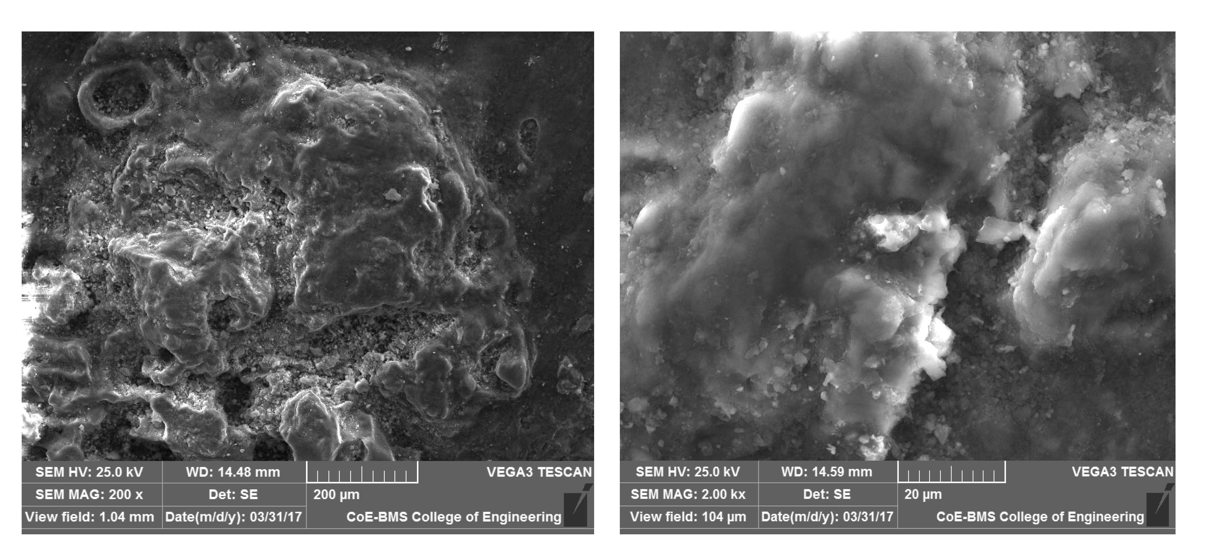 Symmetry 13 00537 g012