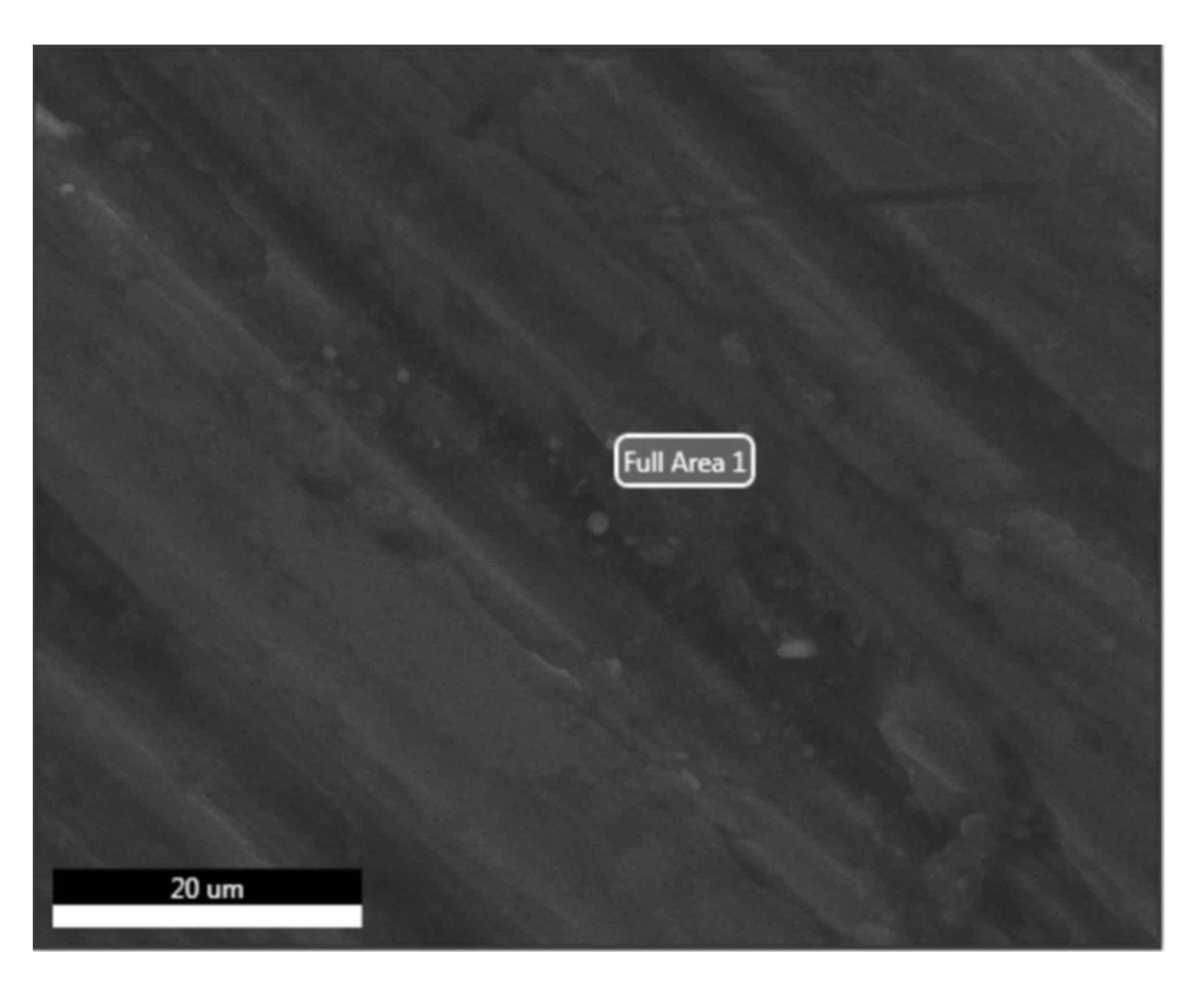 Symmetry 13 00537 g013