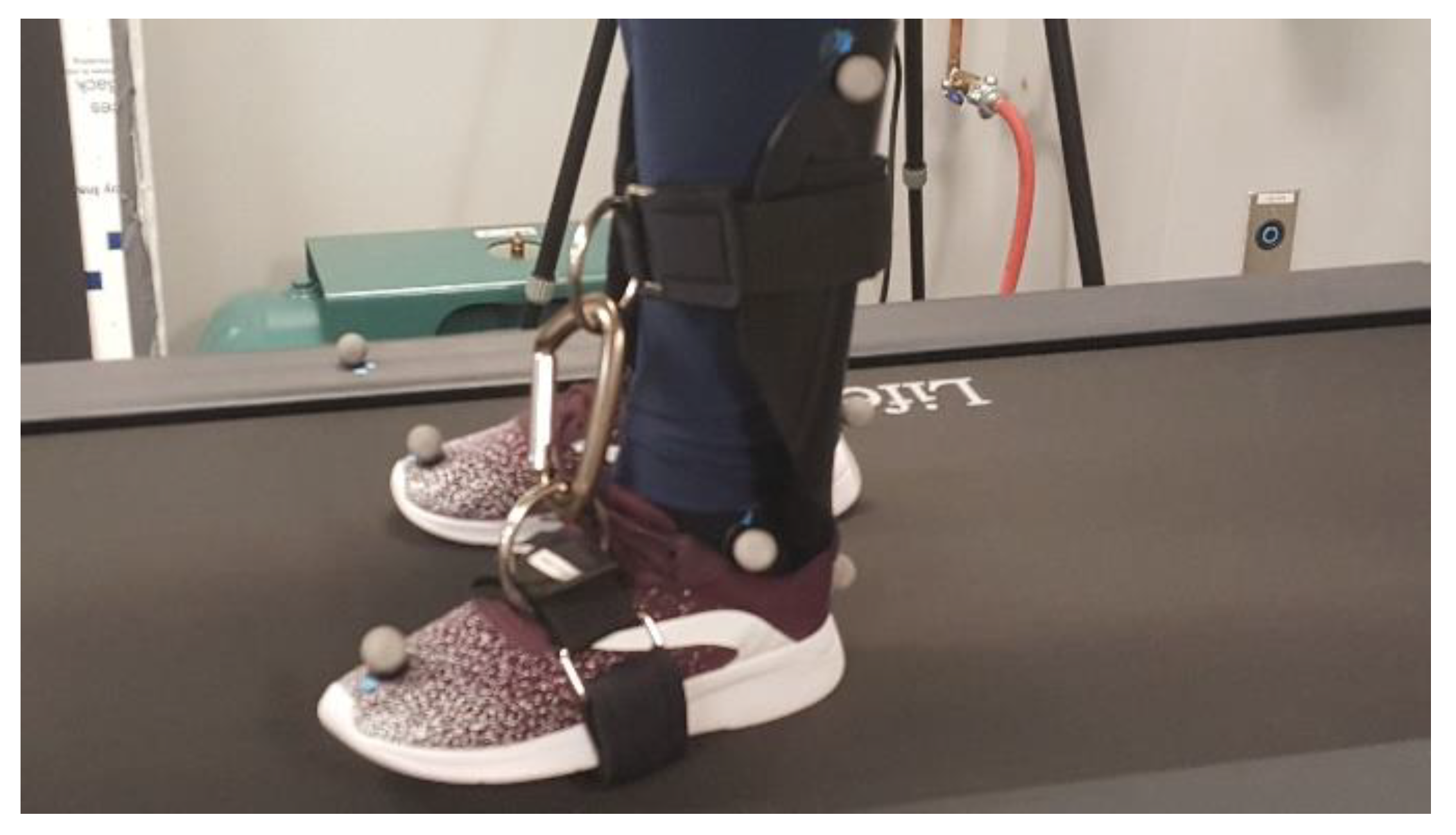 Symmetry 13 00555 g001