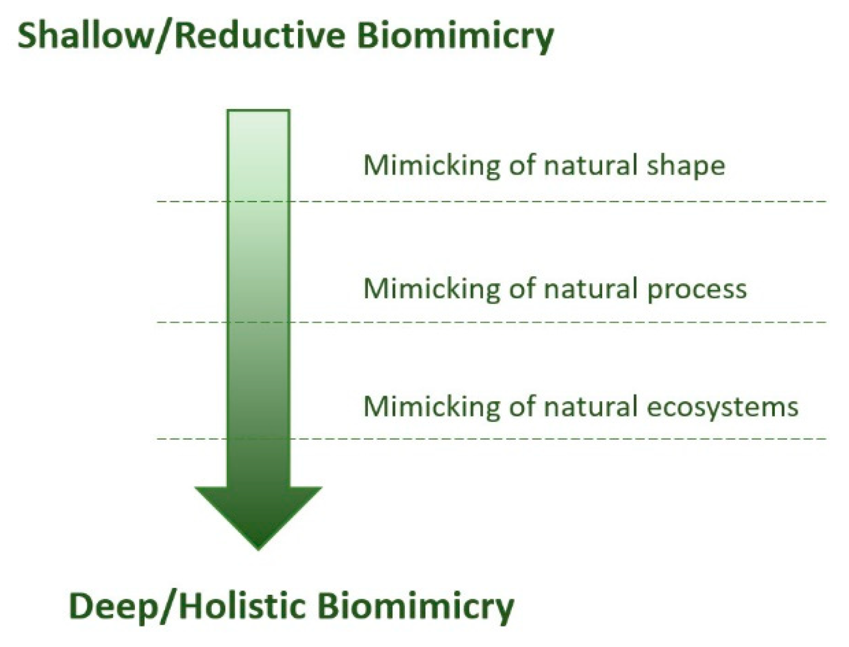 Symmetry 13 00561 g006