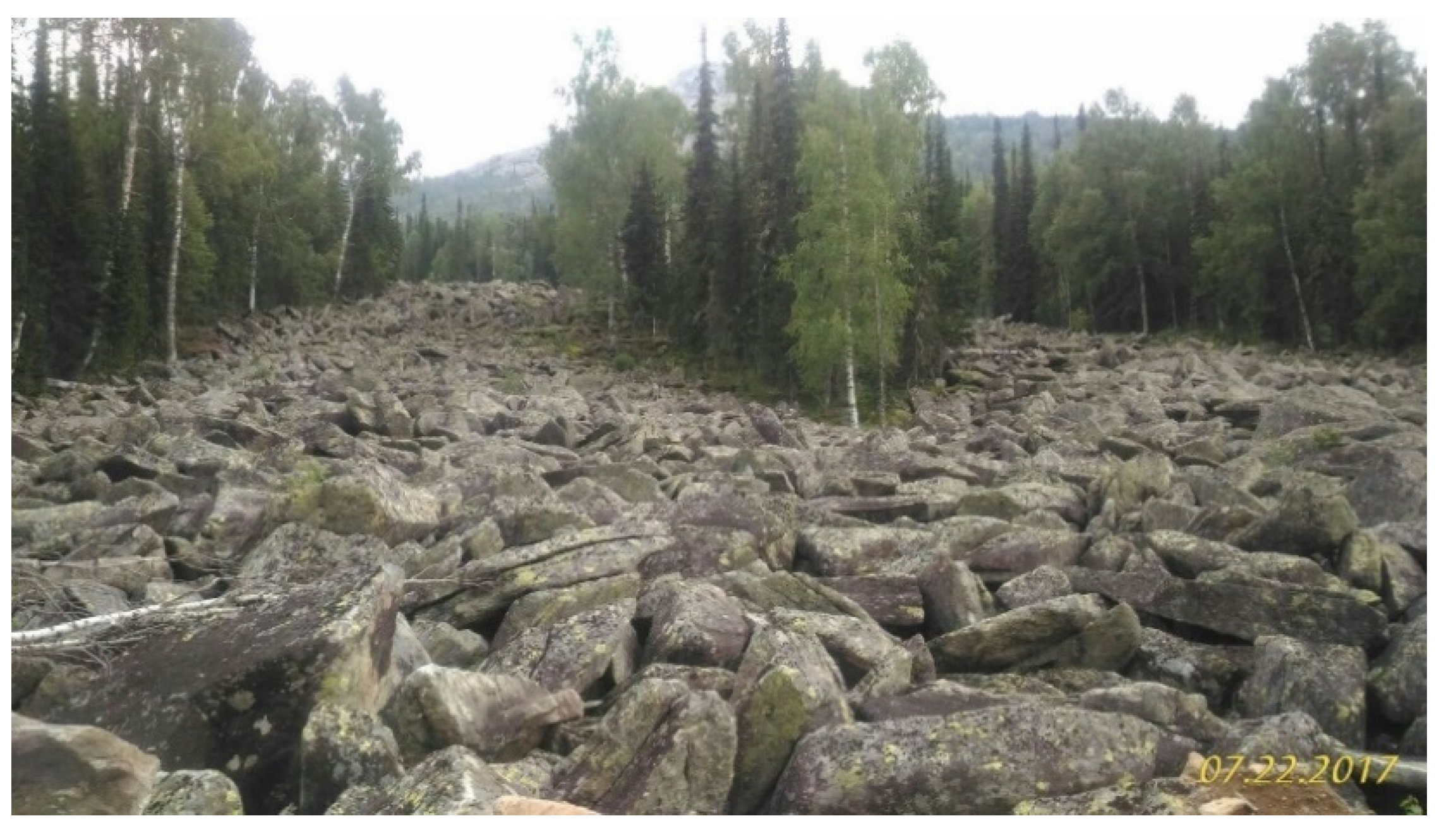 Symmetry 13 00578 g002