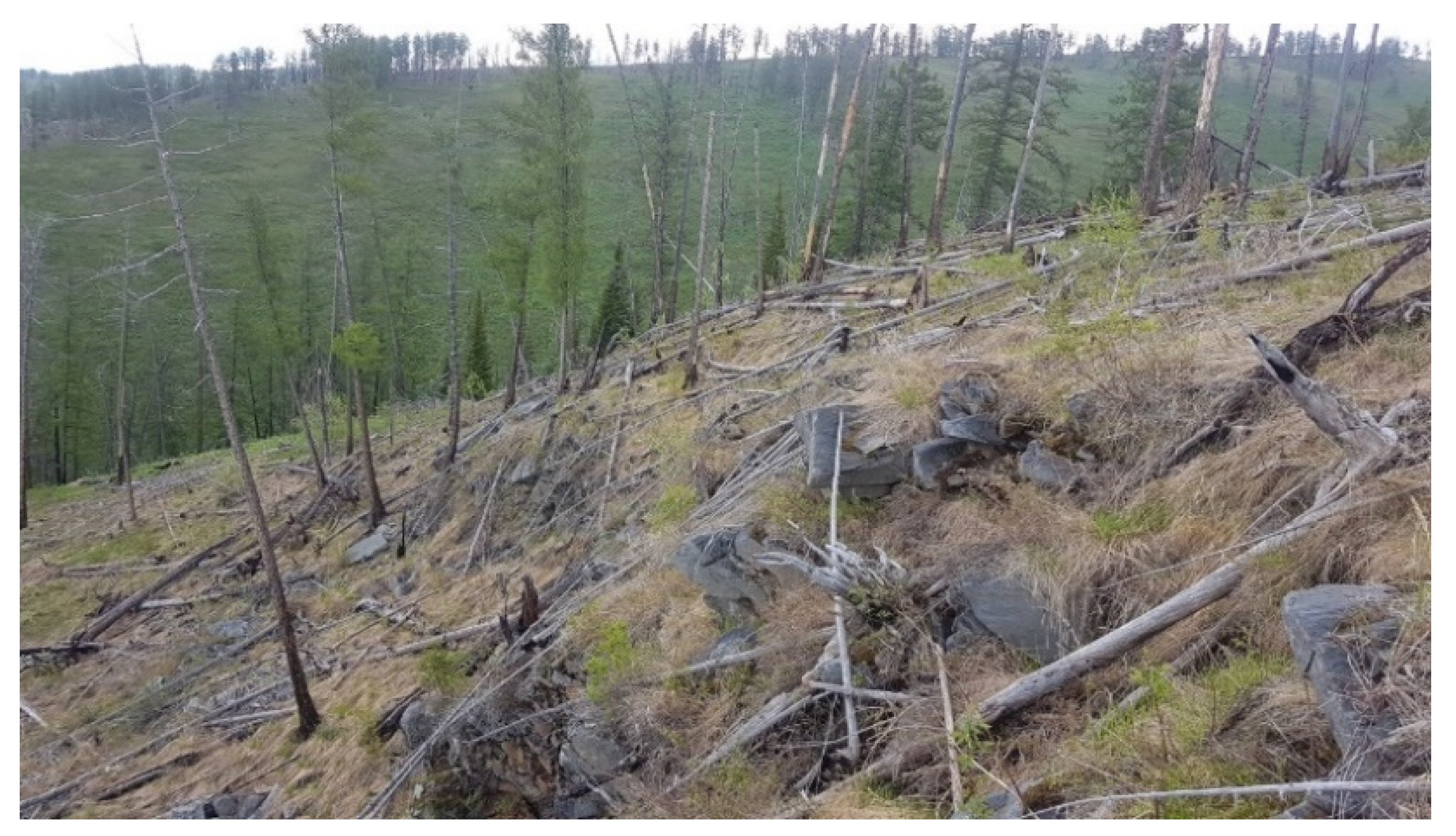 Symmetry 13 00578 g003