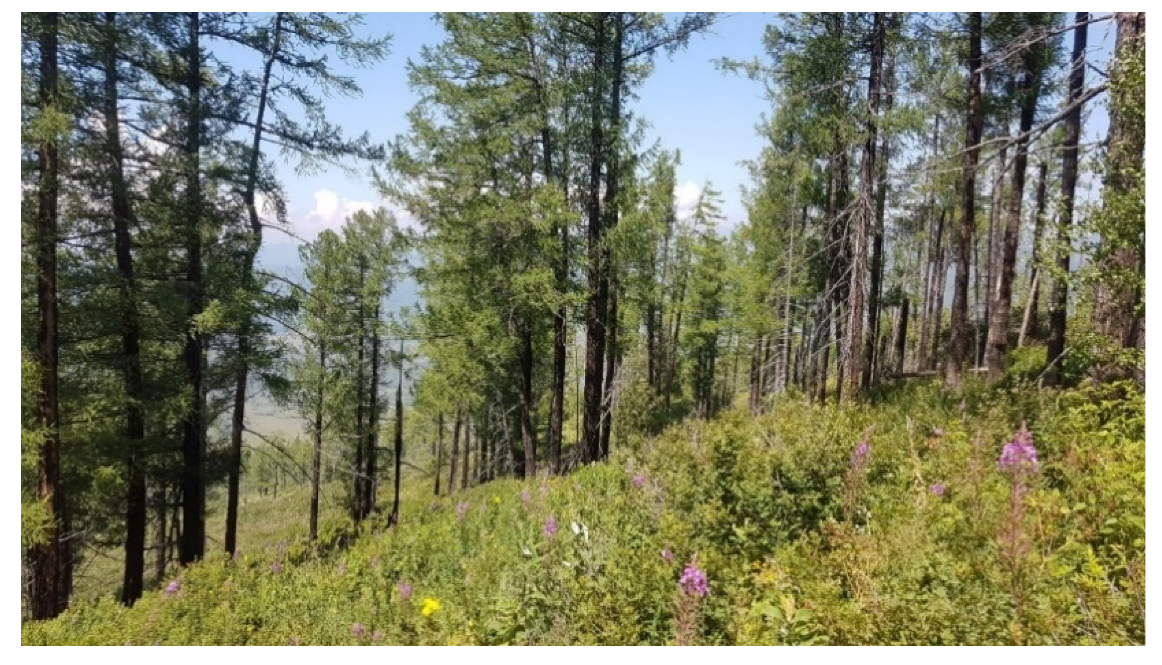 Symmetry 13 00578 g004