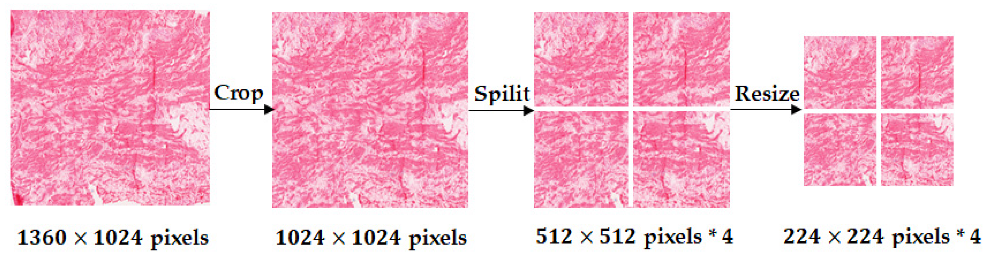 Symmetry 13 00643 g004 Symmetry 13 00643 g004
