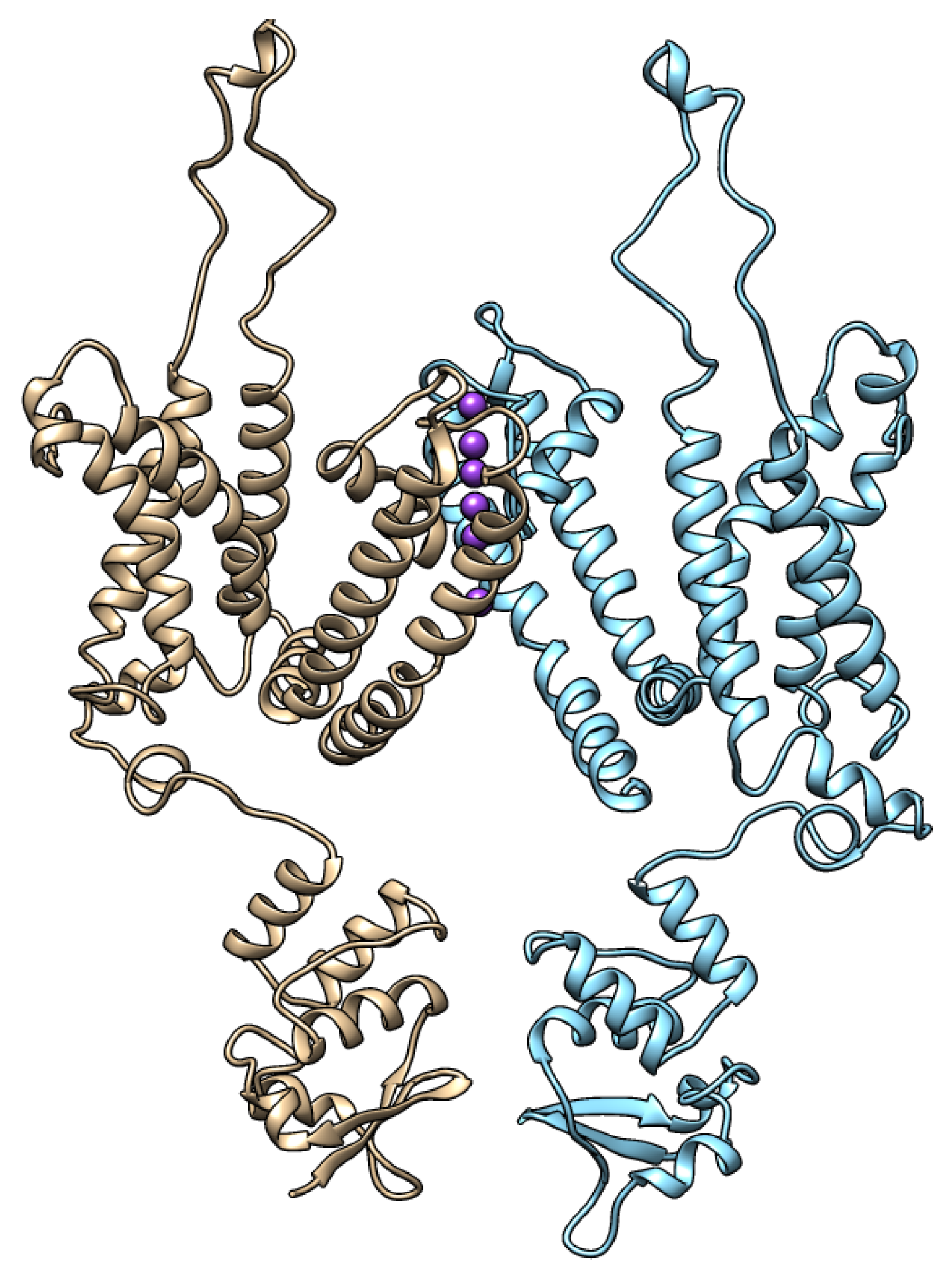 Symmetry 13 00655 g003