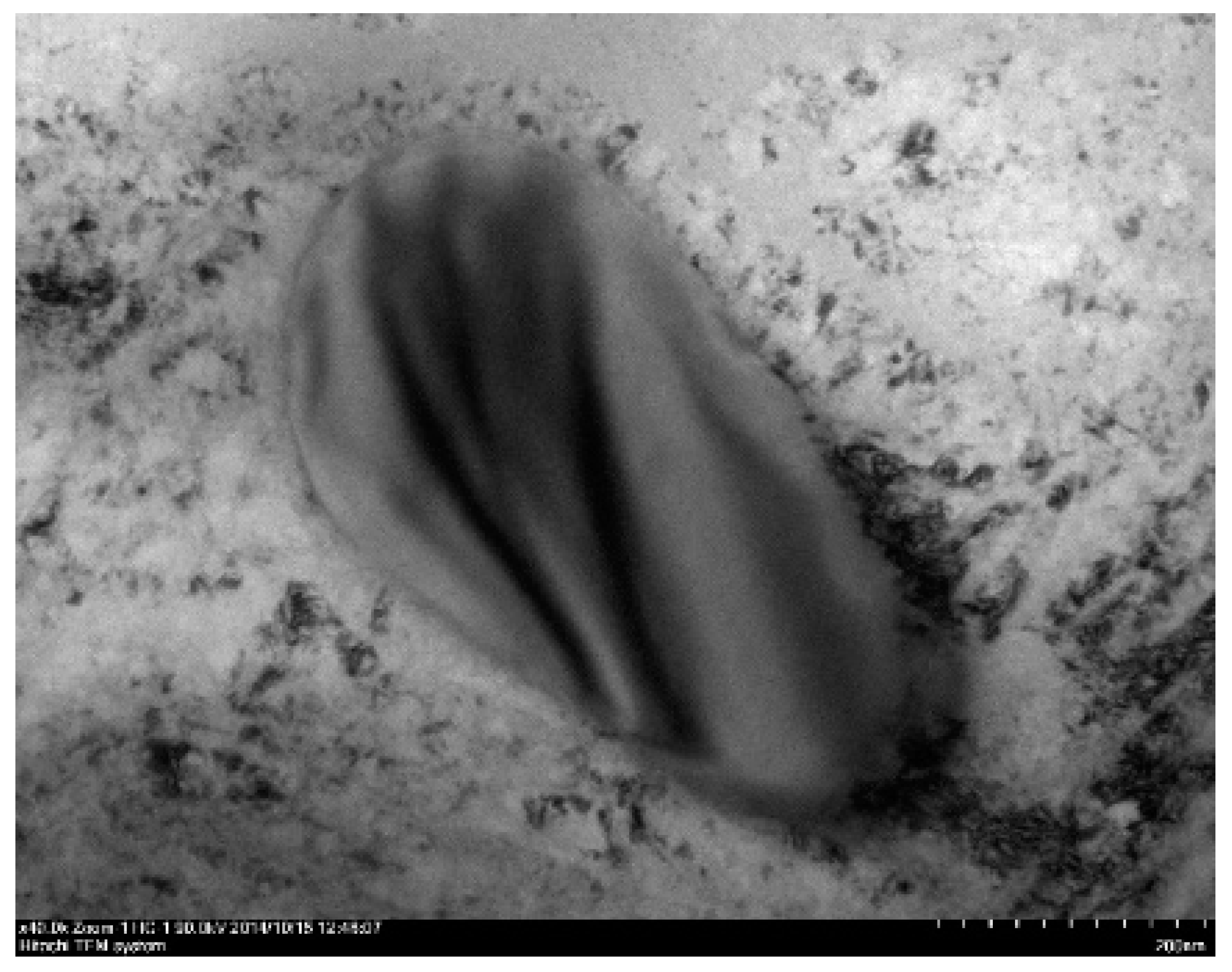 Symmetry 13 00665 g005 Symmetry 13 00665 g005