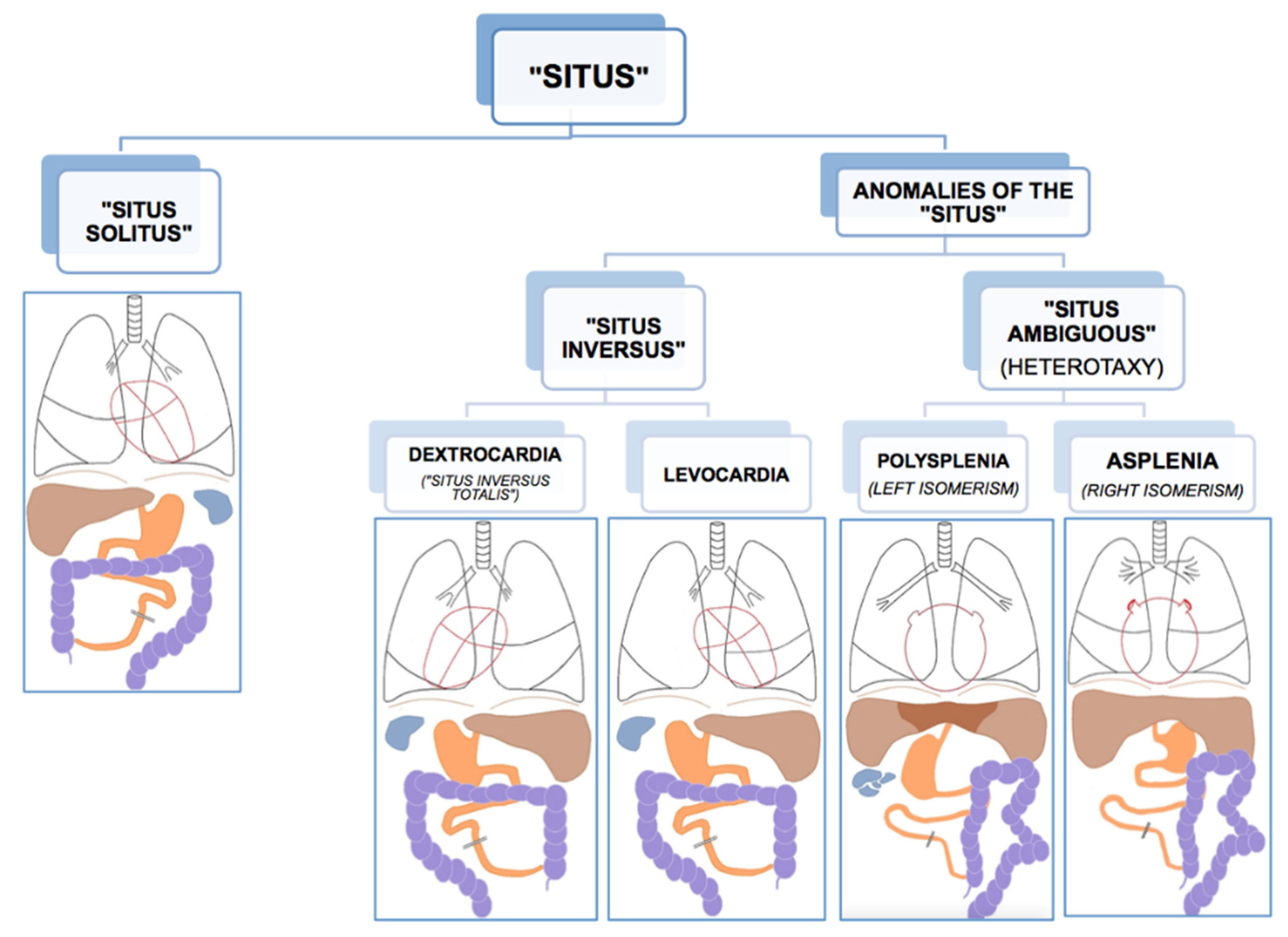 Symmetry 13 00695 g001