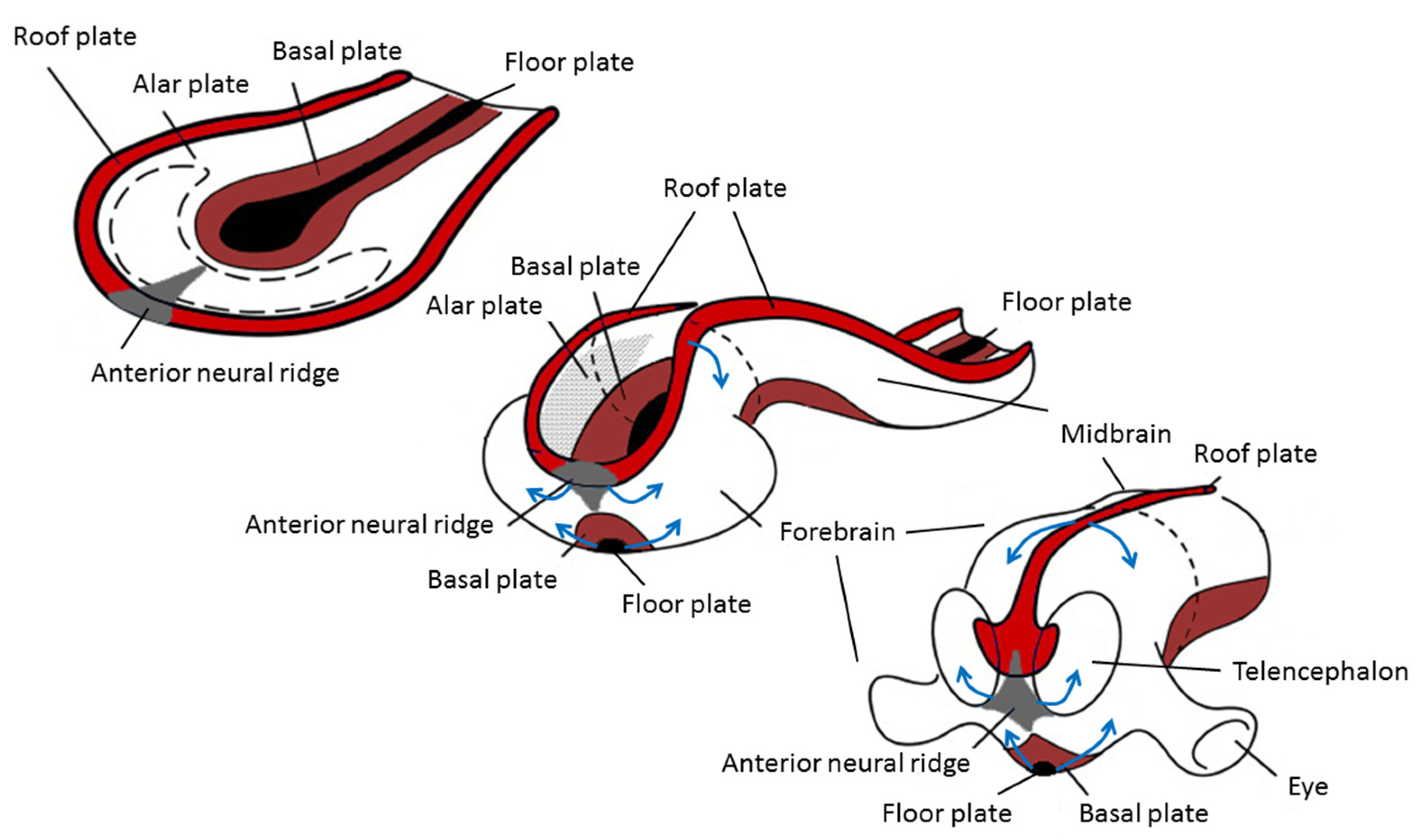 Symmetry 13 00695 g003