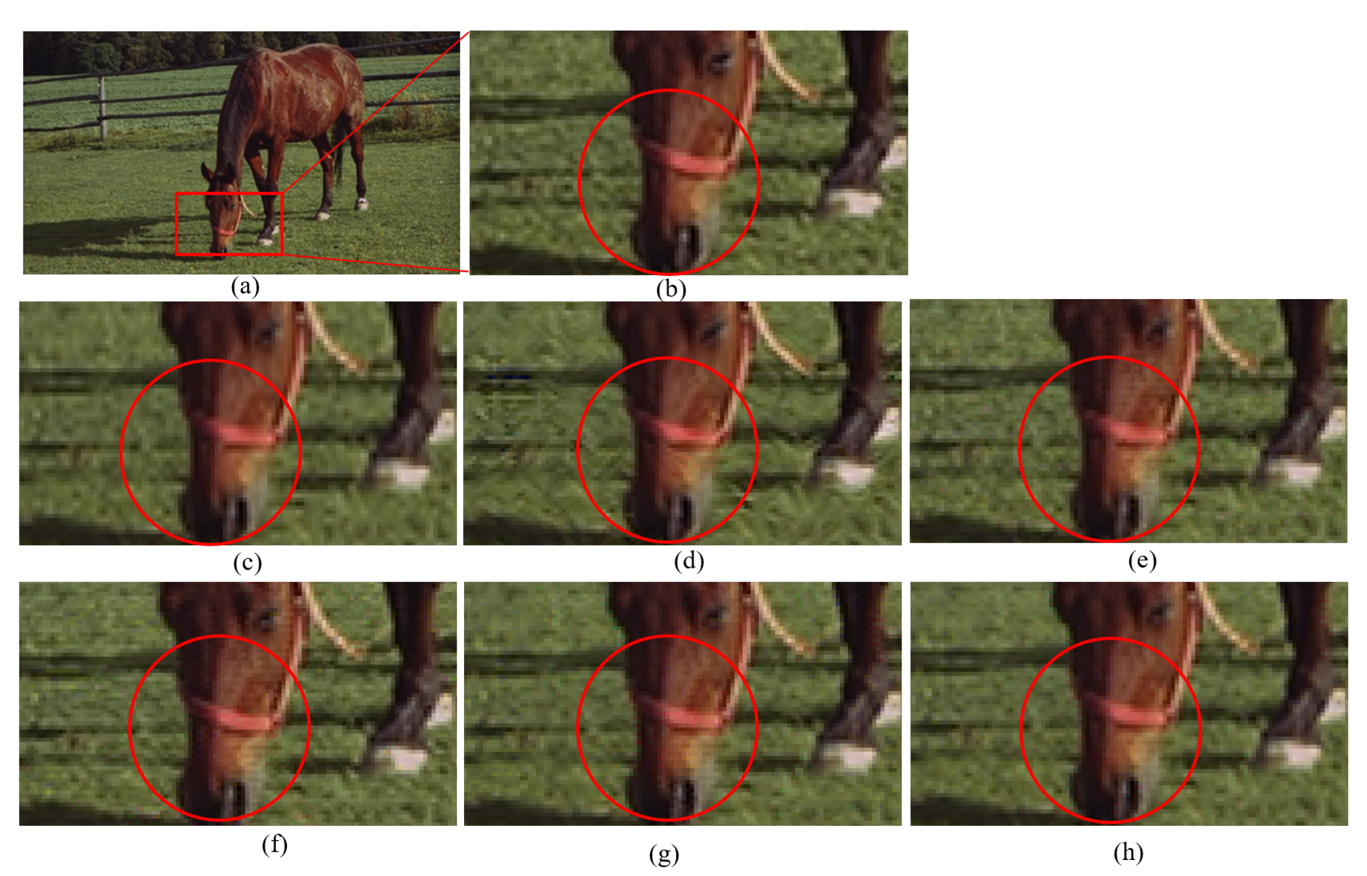 Symmetry 13 00702 g009 Symmetry 13 00702 g009