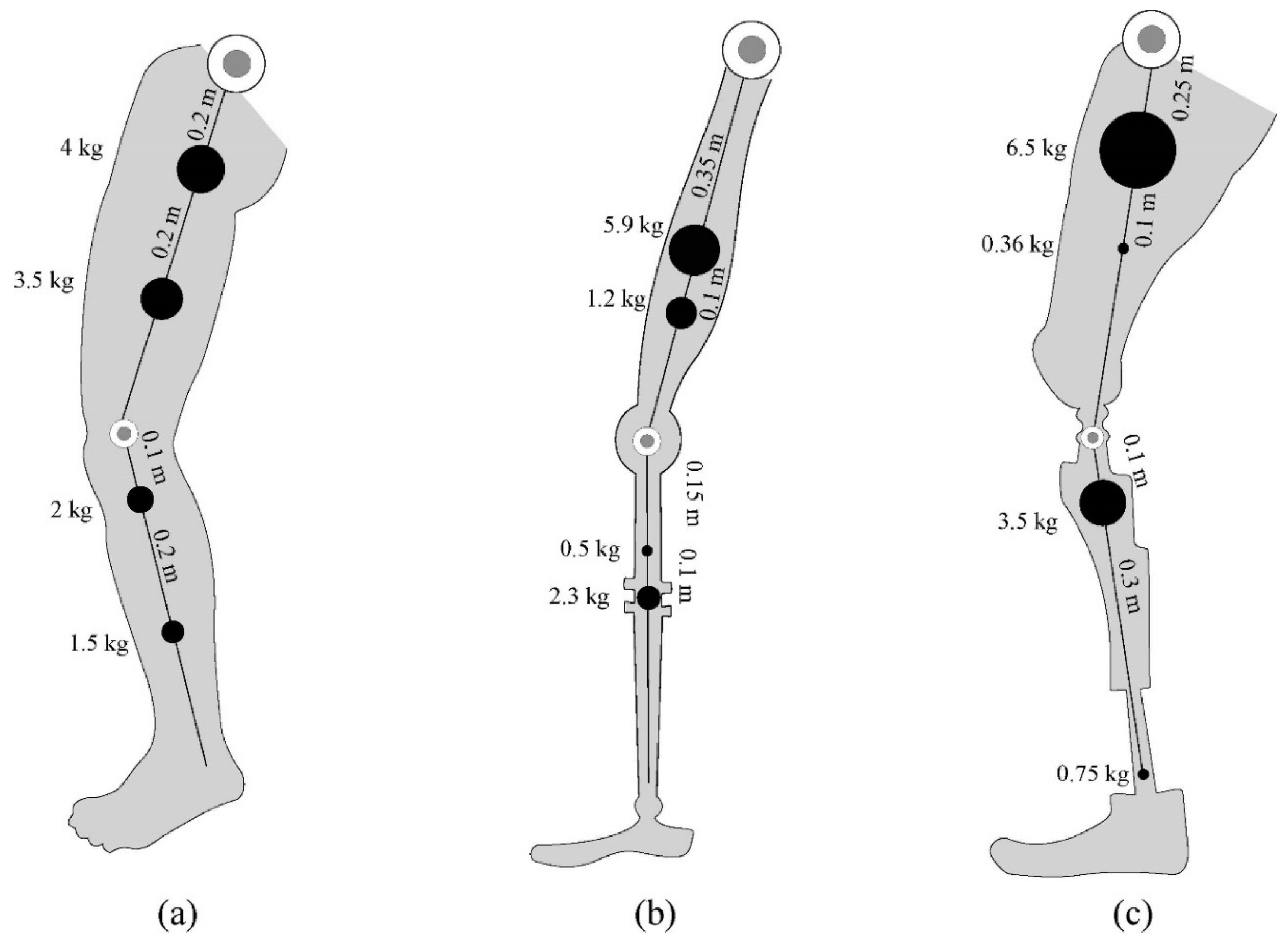 Symmetry 13 00705 g007