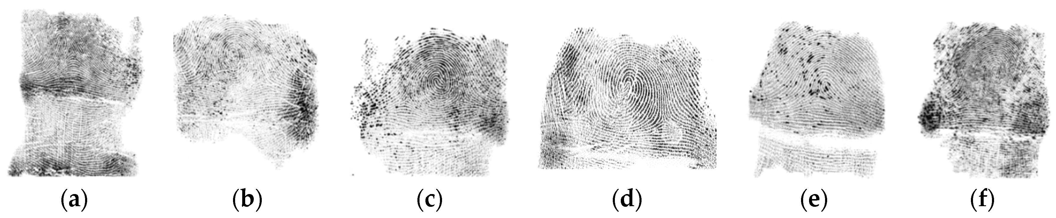 Symmetry 13 00717 g007 Symmetry 13 00717 g007