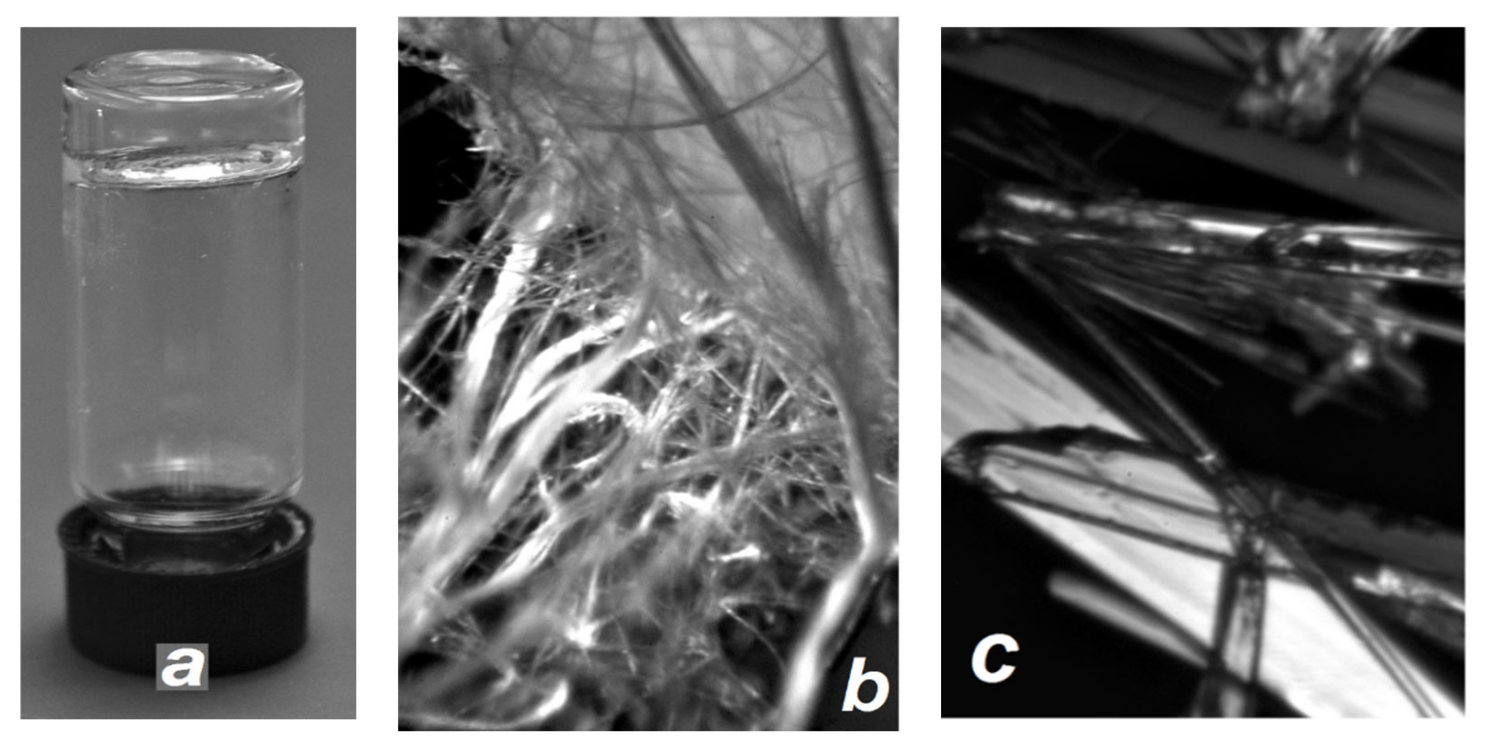 Symmetry 13 00732 g001