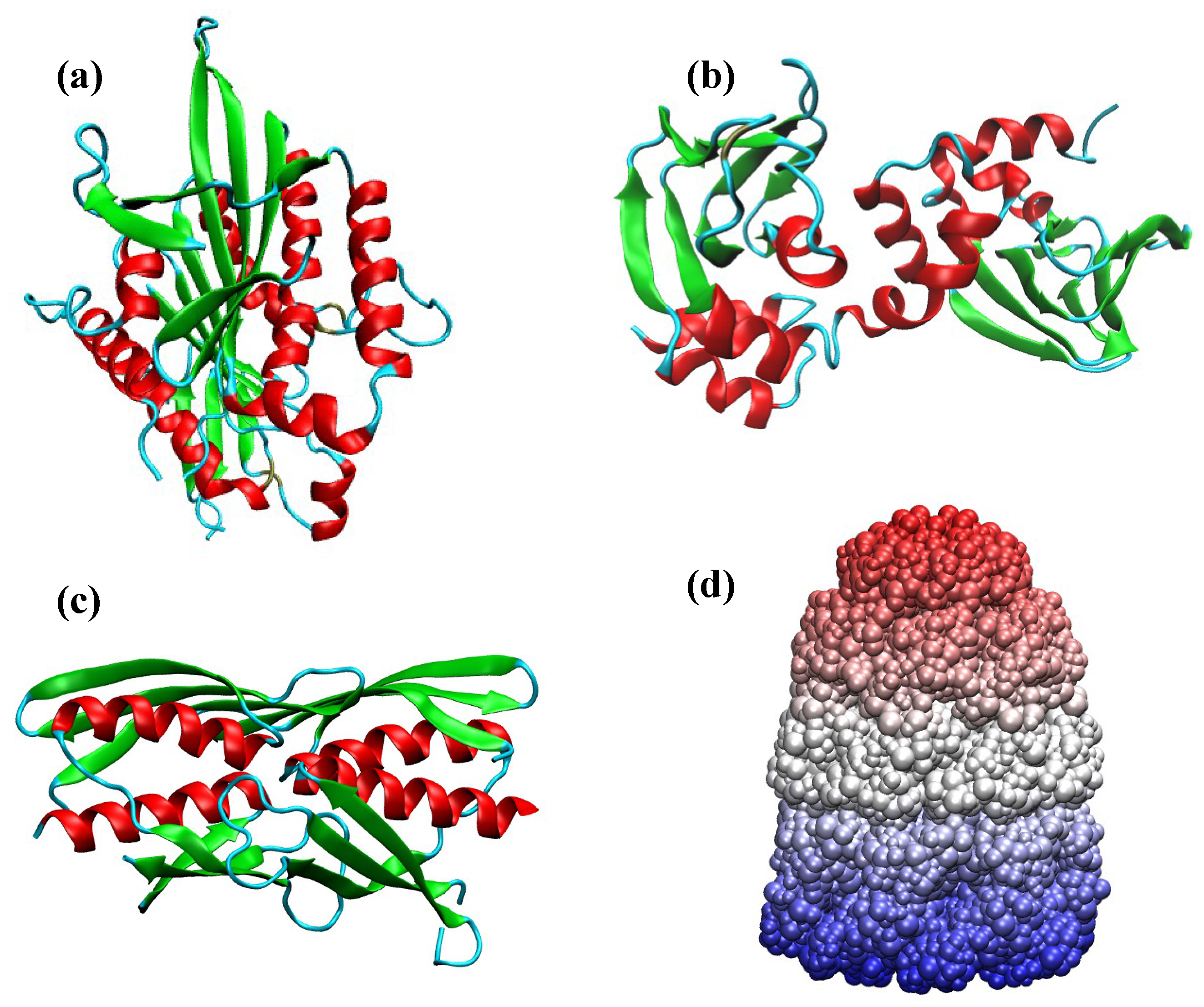 Symmetry 13 00770 g005
