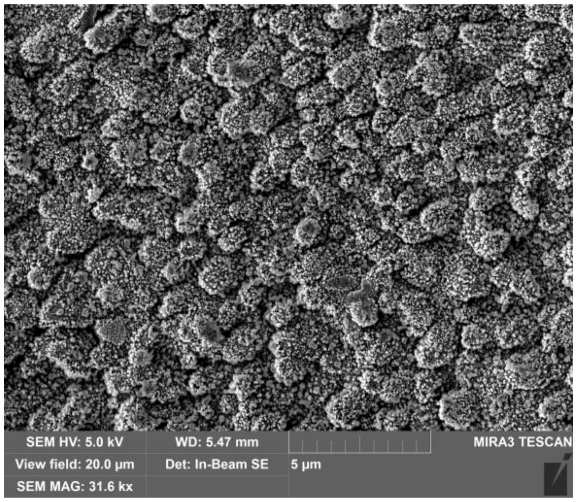 Symmetry 13 00796 g001