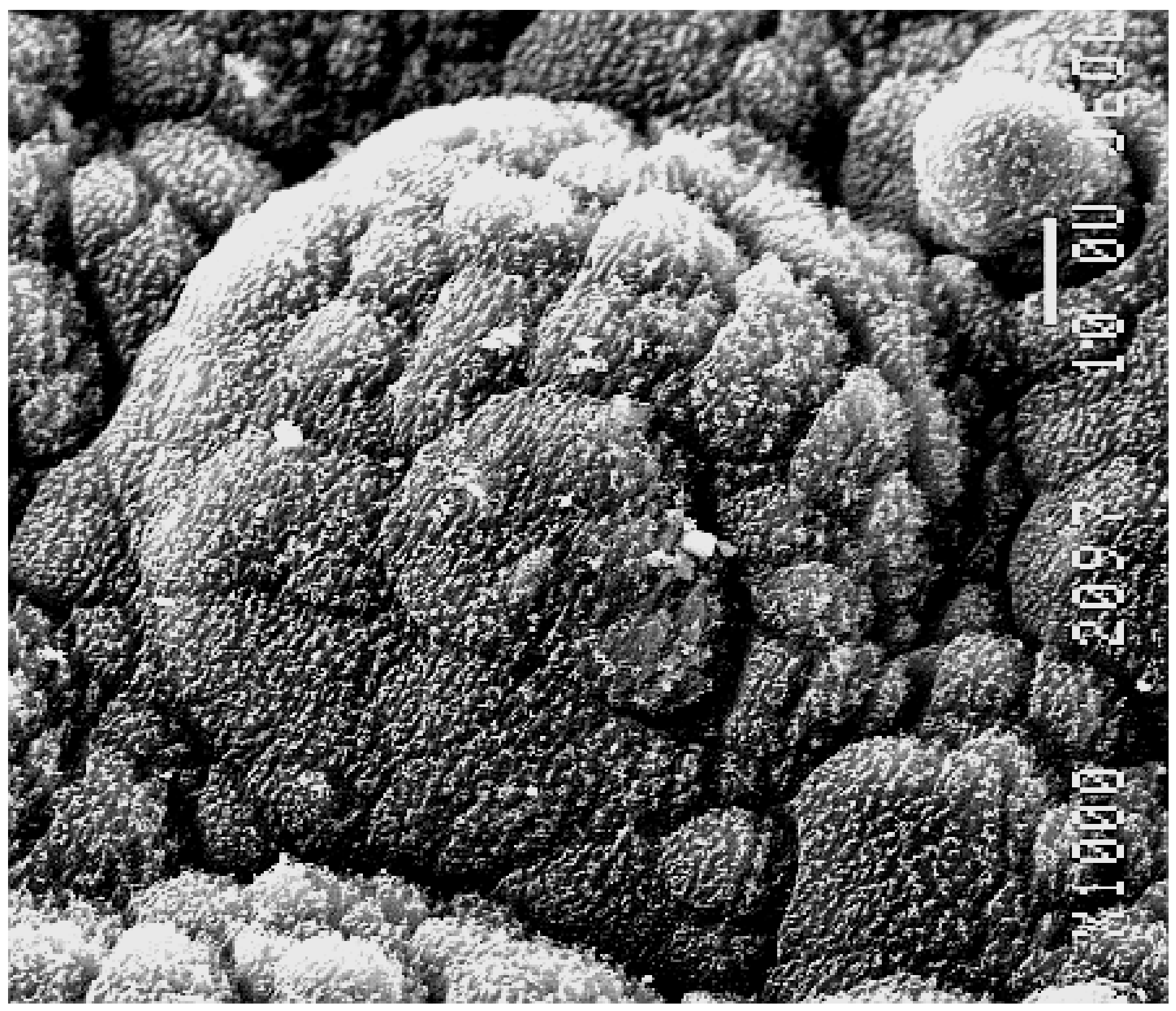 Symmetry 13 00796 g003