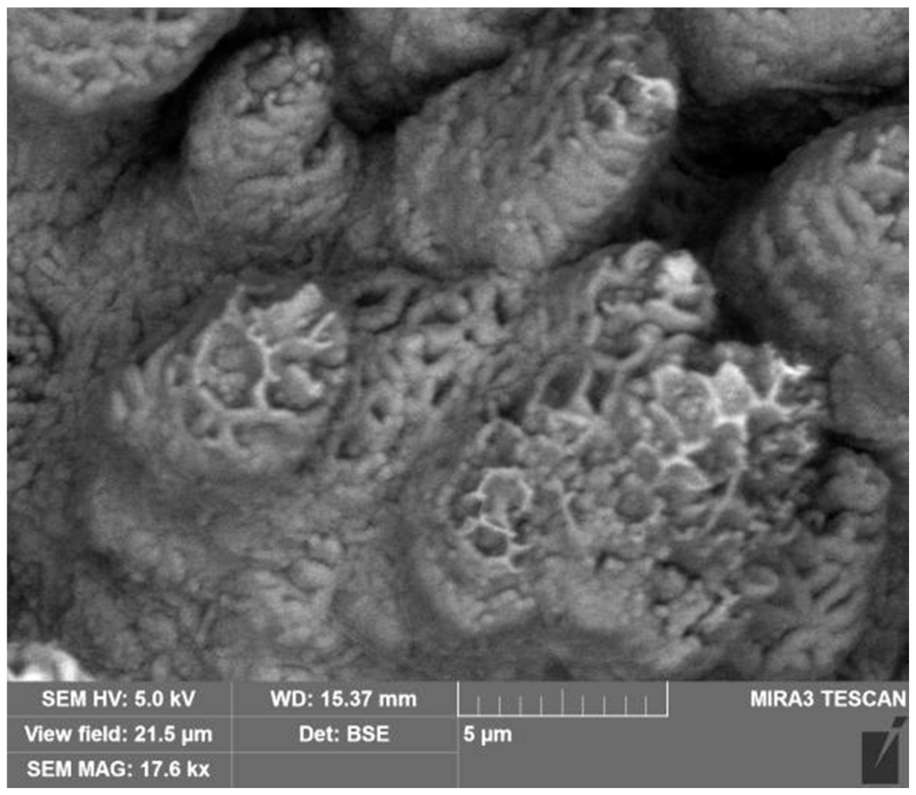 Symmetry 13 00796 g005