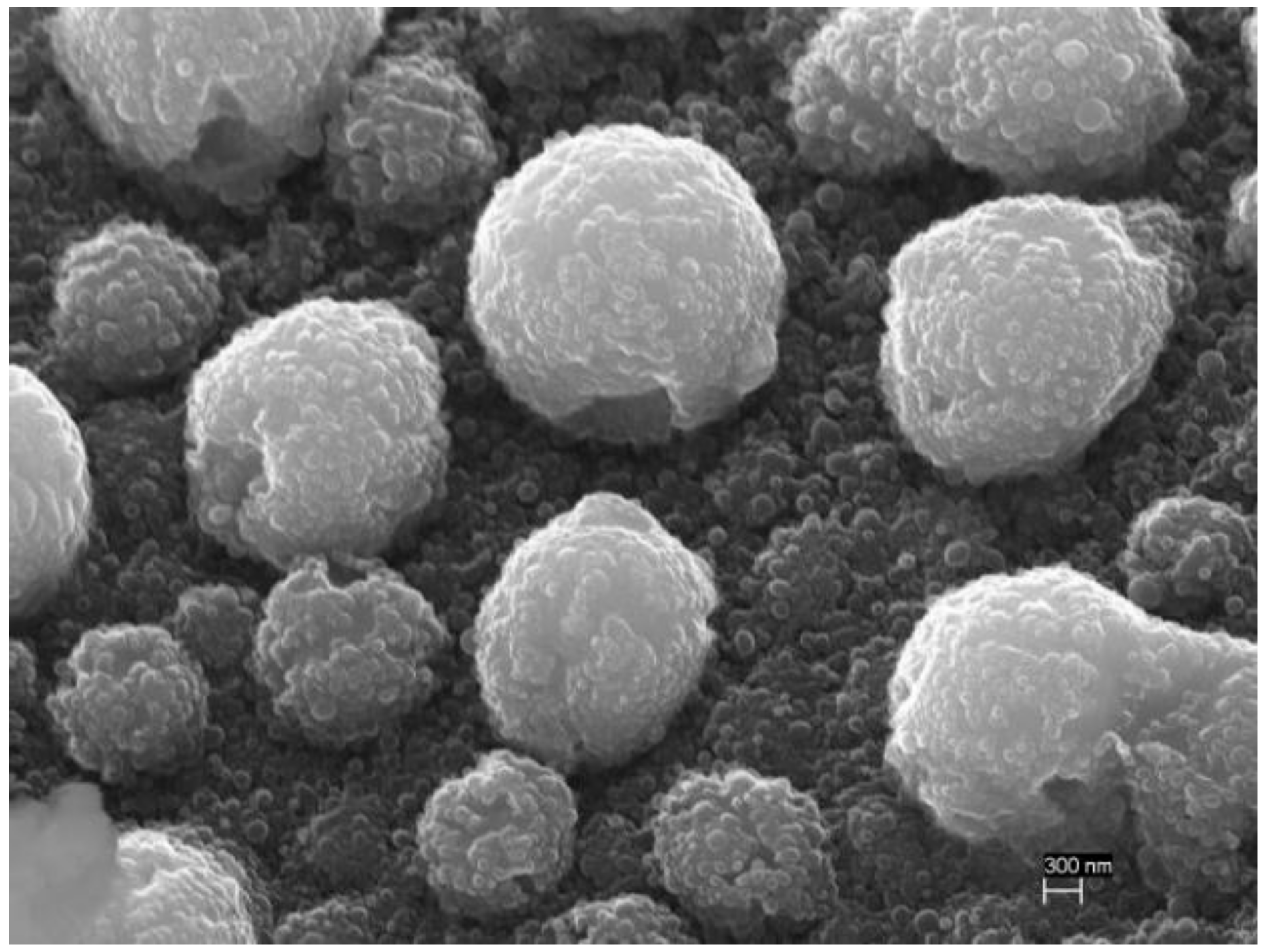 Symmetry 13 00796 g008