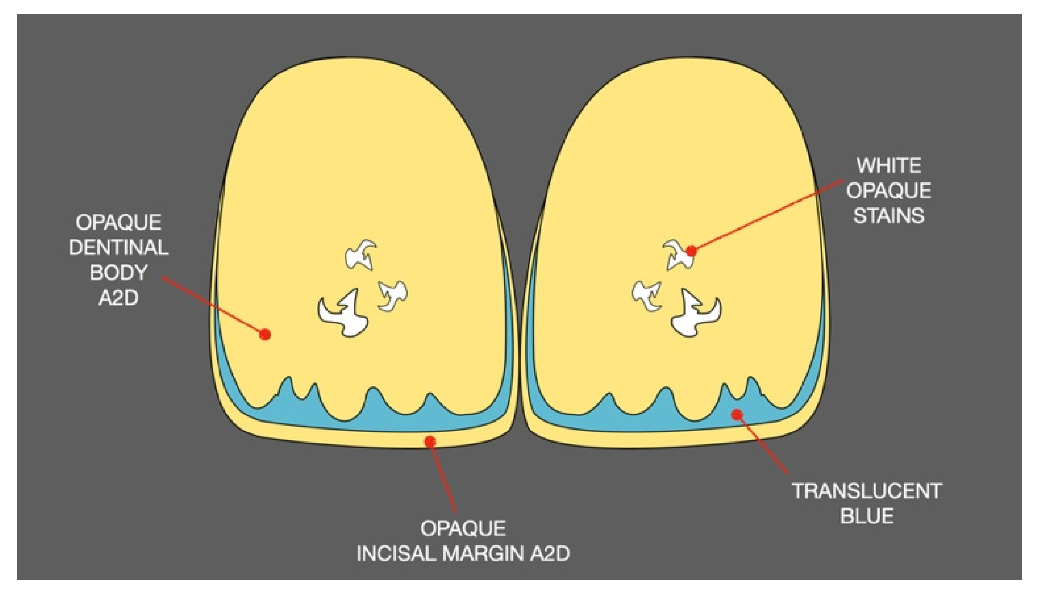 Symmetry 13 00797 g009