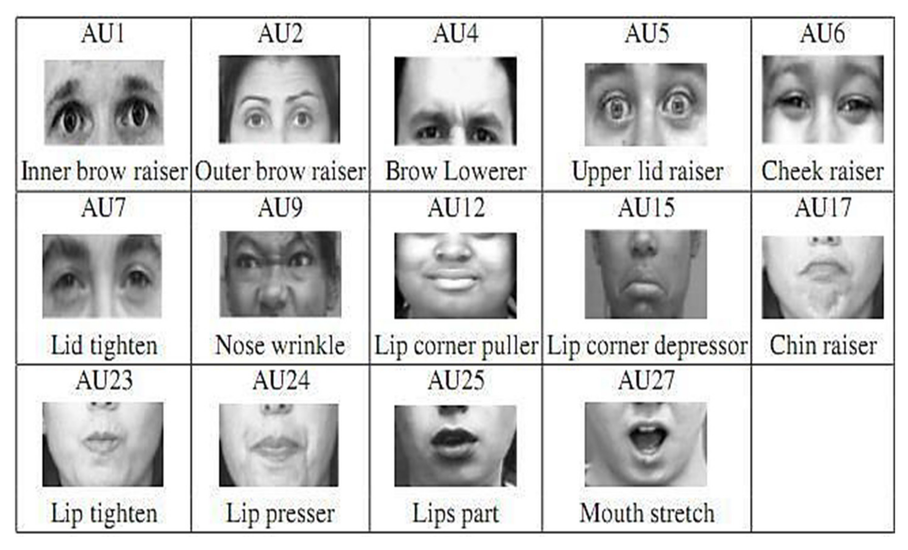 Symmetry 13 00805 g001