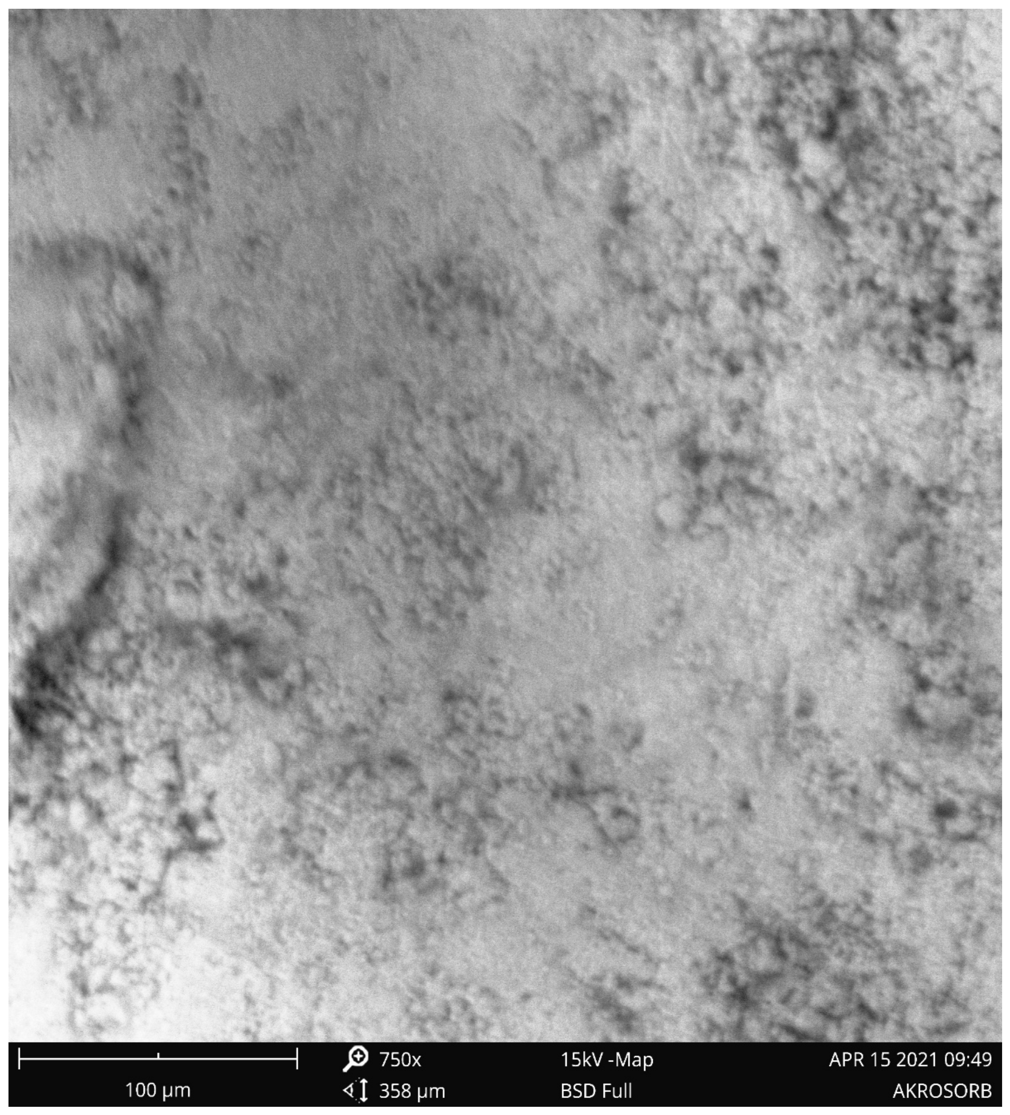 Symmetry 13 00807 g009