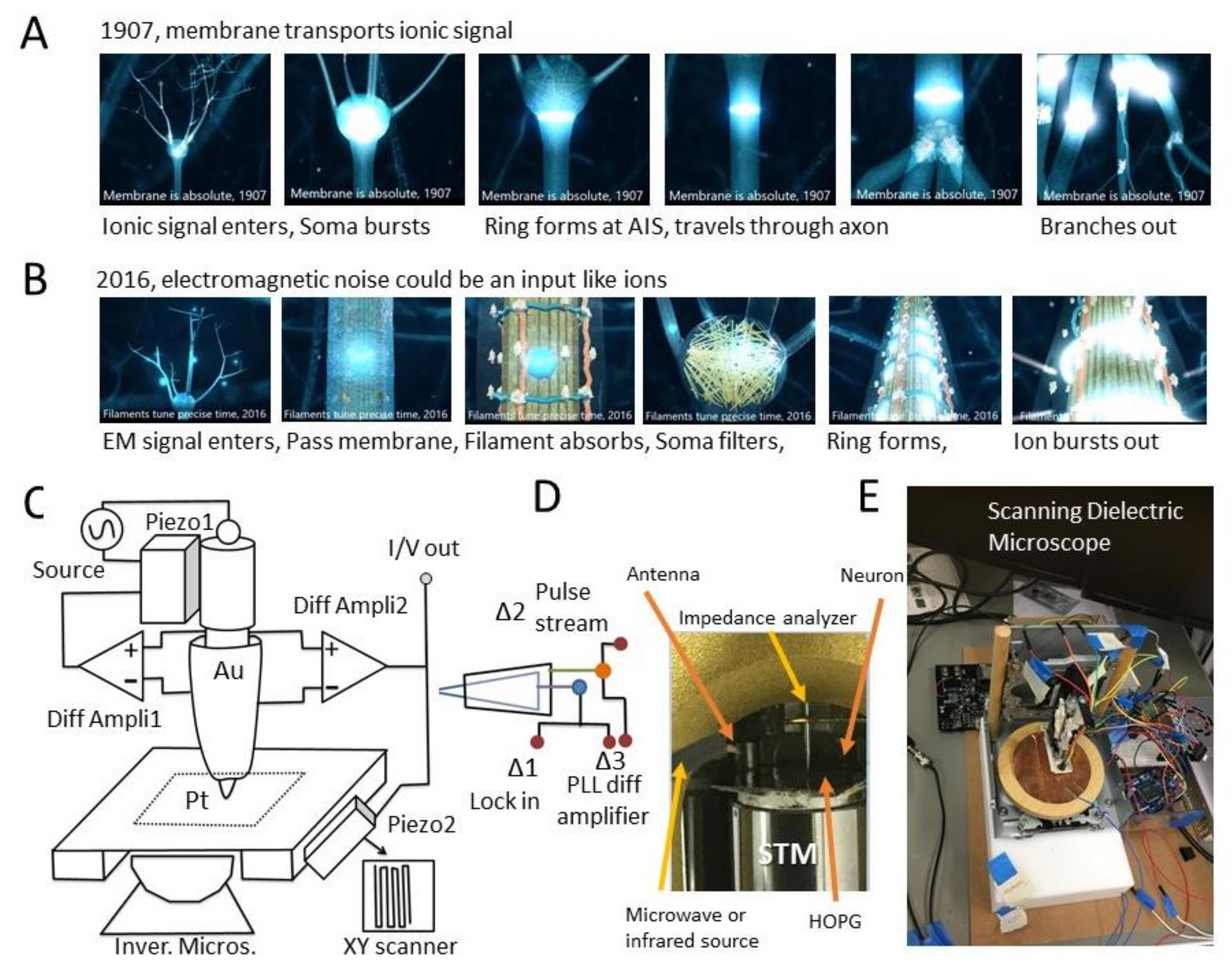 Symmetry 13 00821 g001