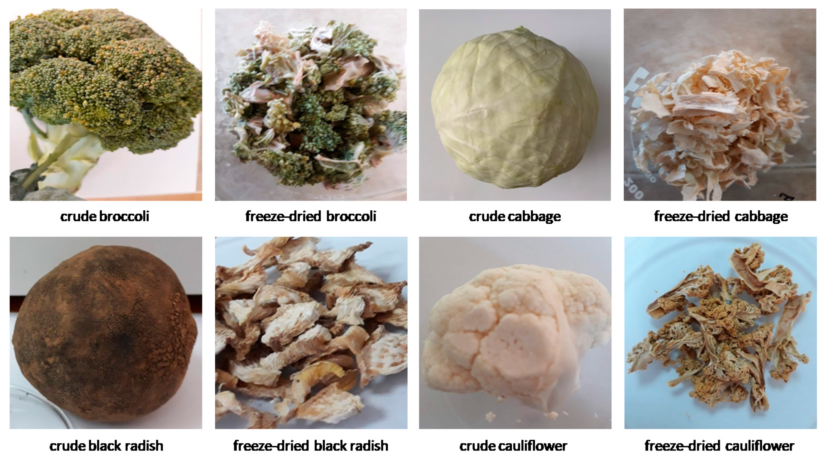 Symmetry 13 00893 g002