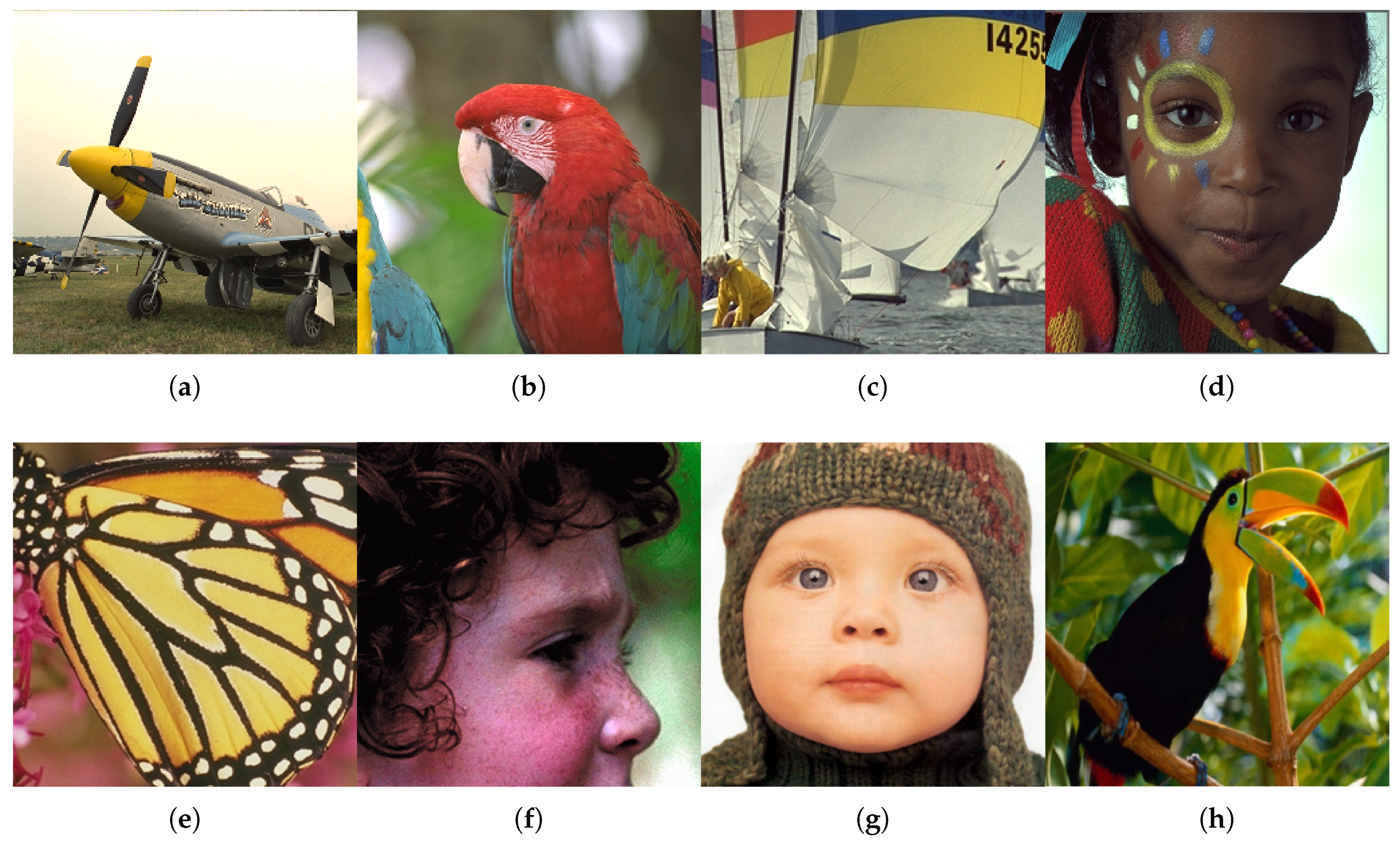 Symmetry 13 00901 g001